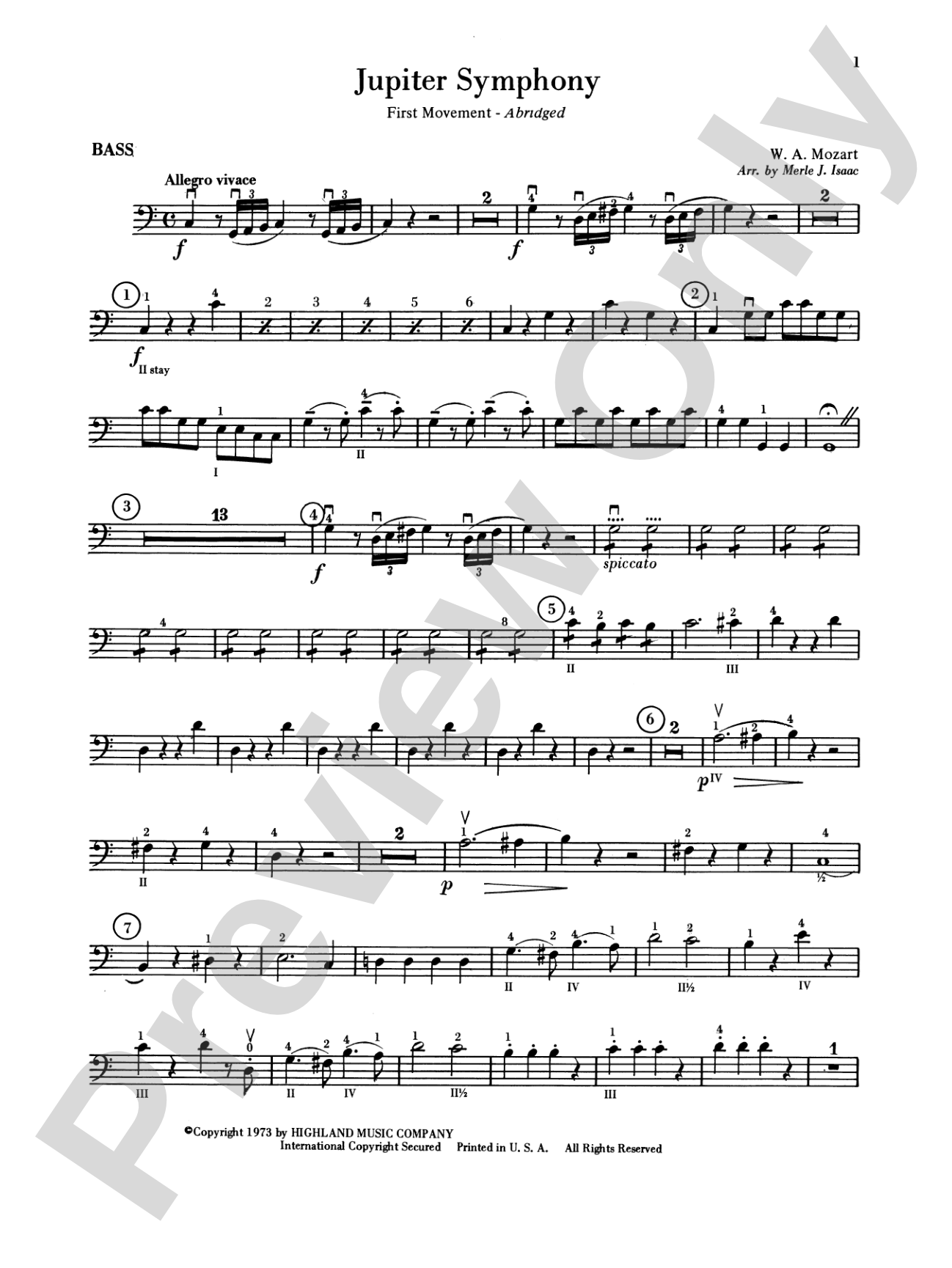 Jupiter Symphony, 1st Movement: String Bass