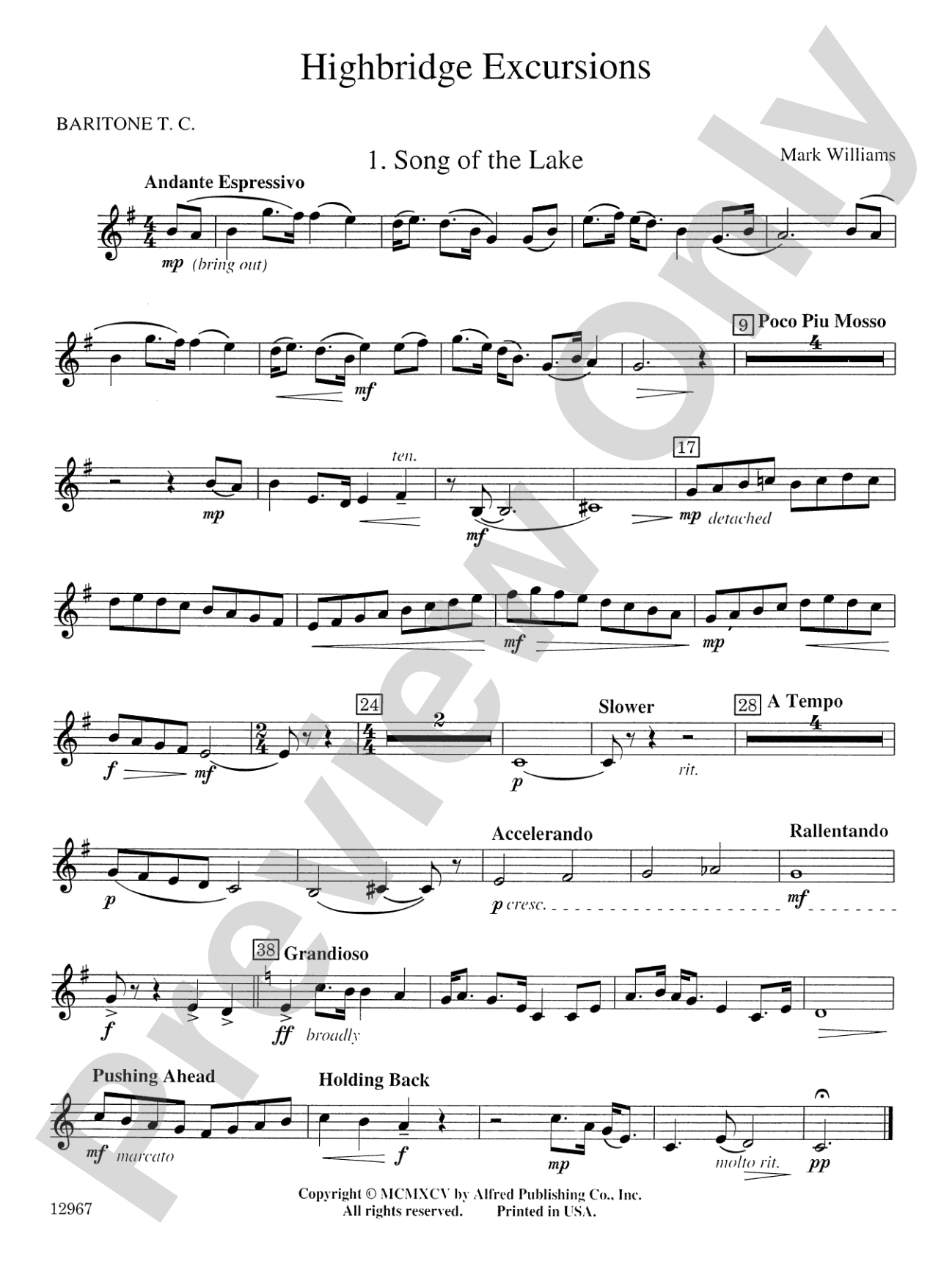Highbridge Excursions: Baritone T.C.