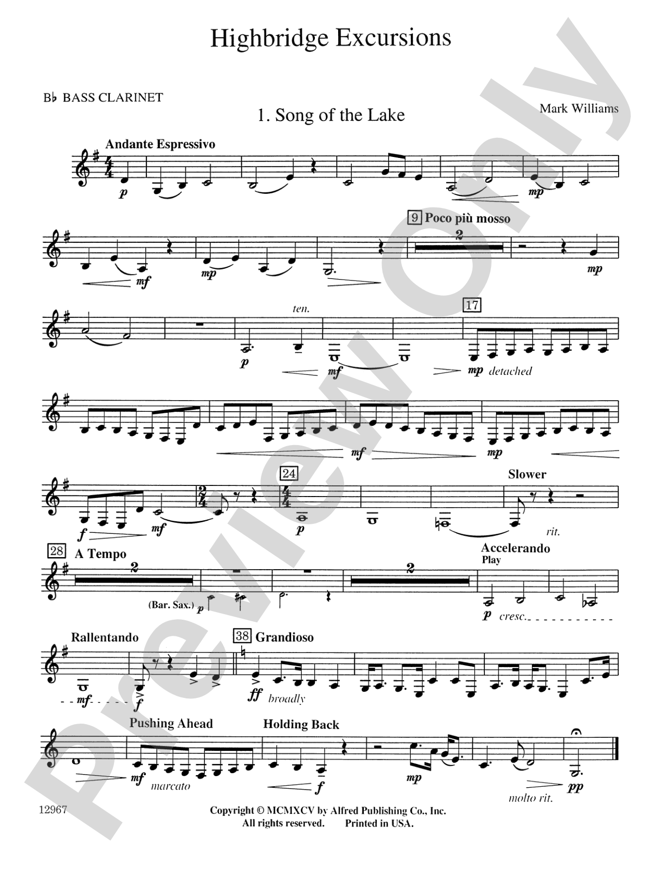 Highbridge Excursions: B-flat Bass Clarinet