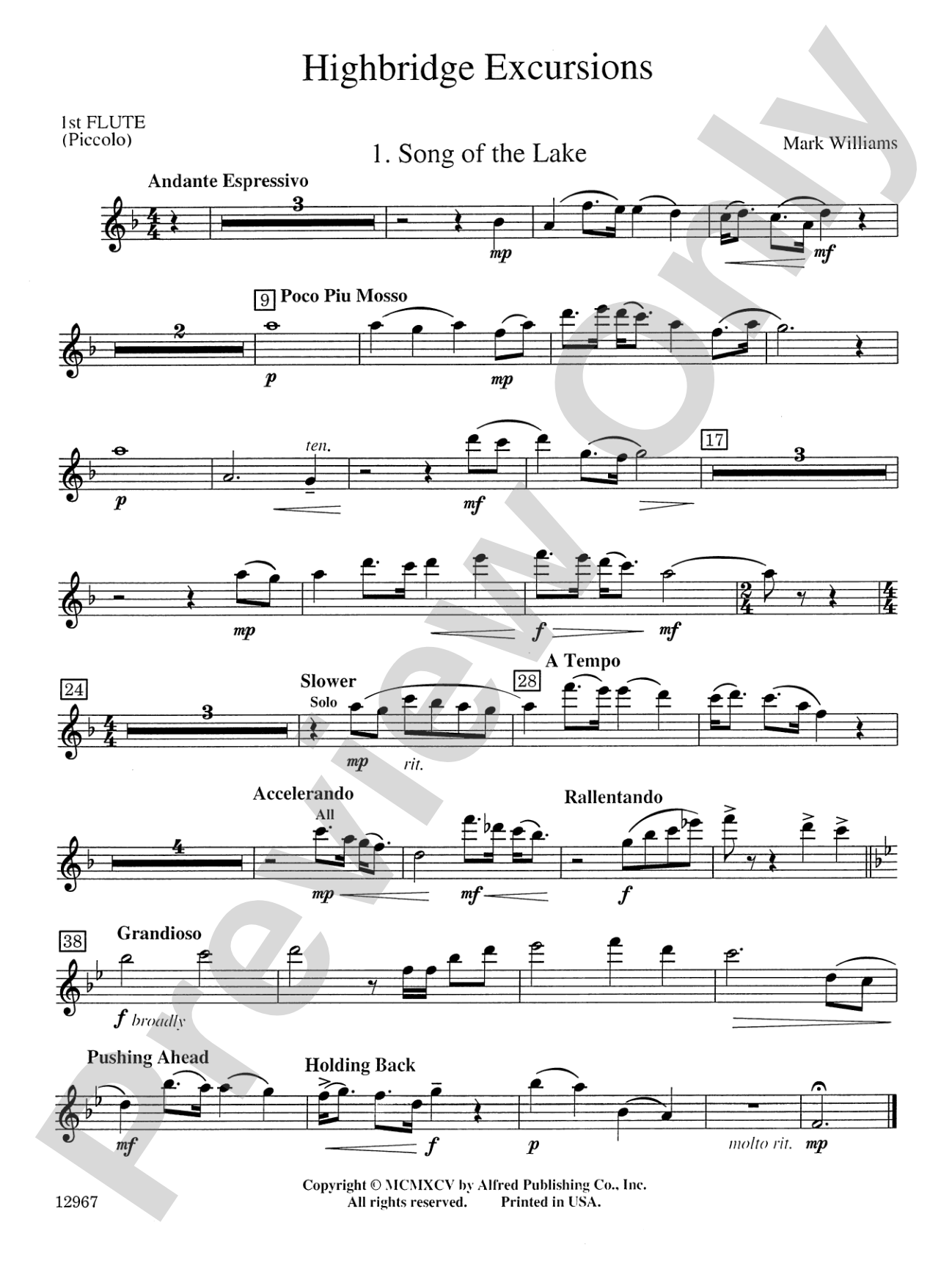 Highbridge Excursions: Flute