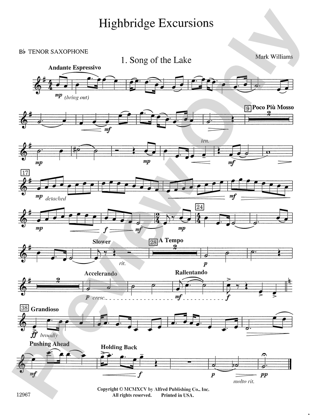 Highbridge Excursions: B-flat Tenor Saxophone