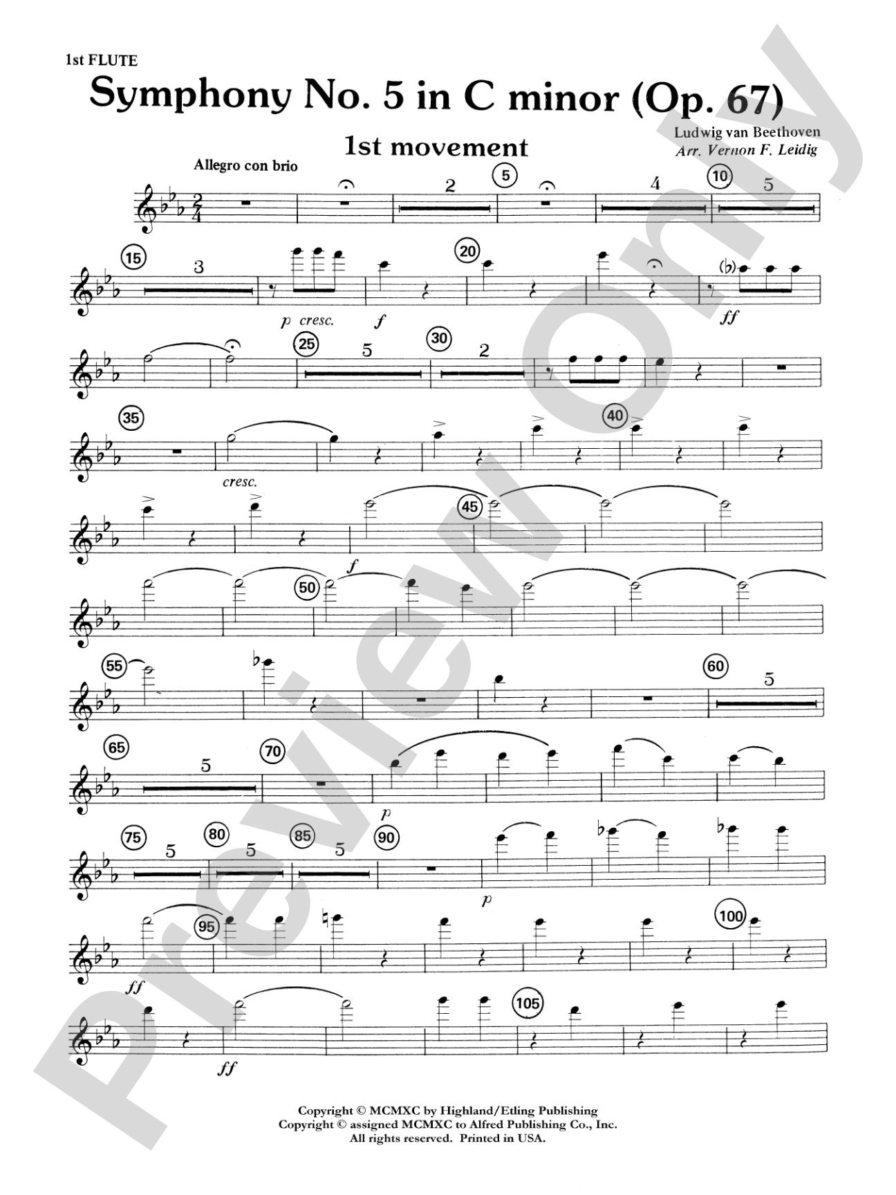 Beethoven's Symphony No. 5, 1st Movement: Flute