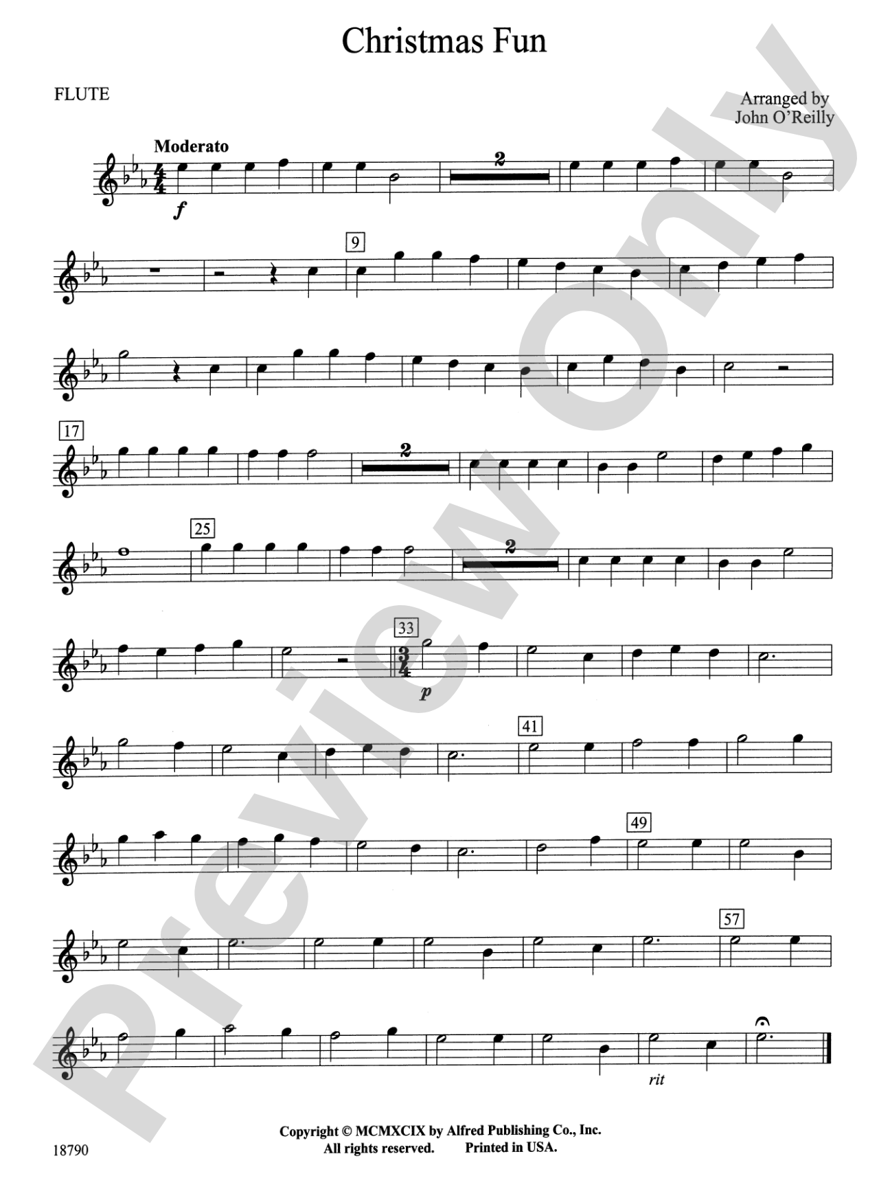Christmas Fun: Flute