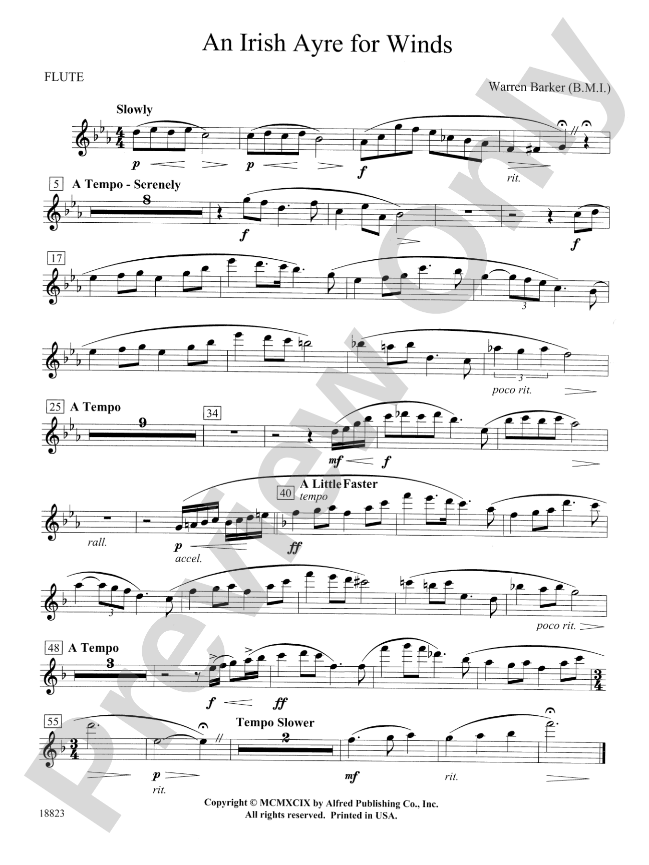 Irish Ayre for Winds: Flute