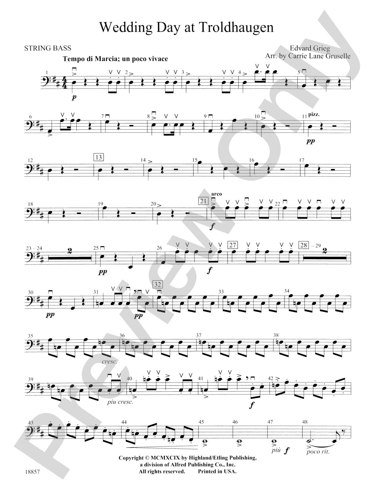 Wedding Day at Troldhaugen: String Bass