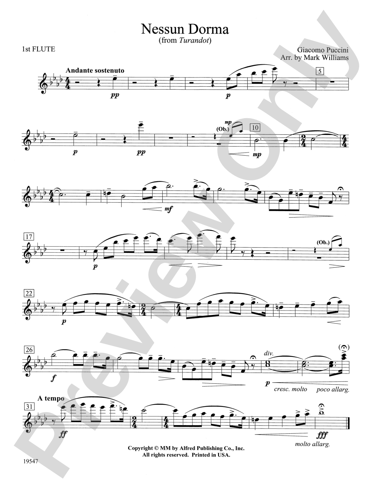 Nessun Dorma: Flute