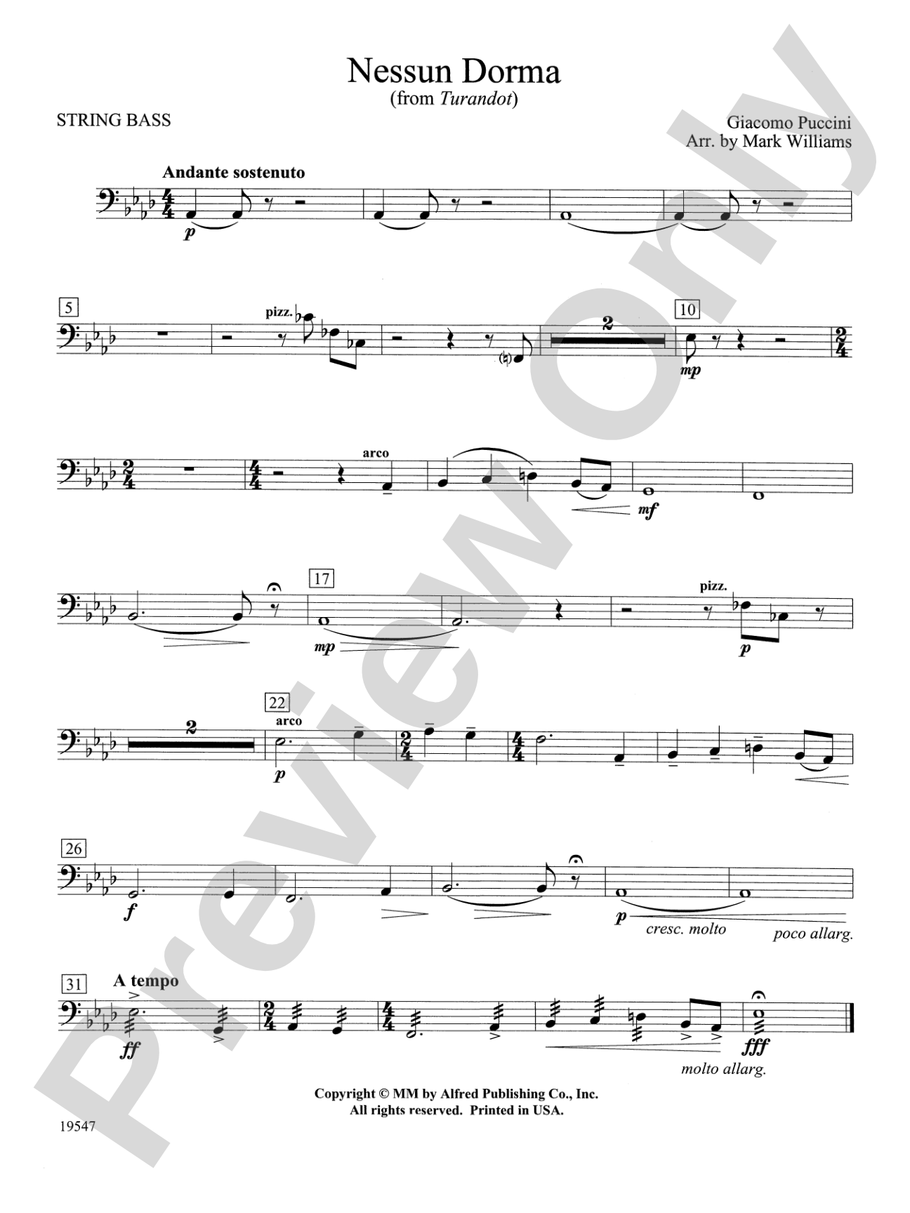 Nessun Dorma: String Bass