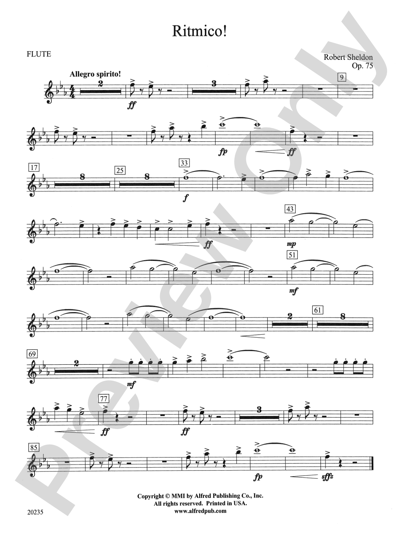 Ritmico!: Flute