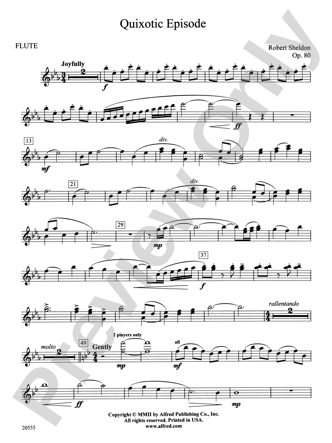 Quixotic Episode: Flute