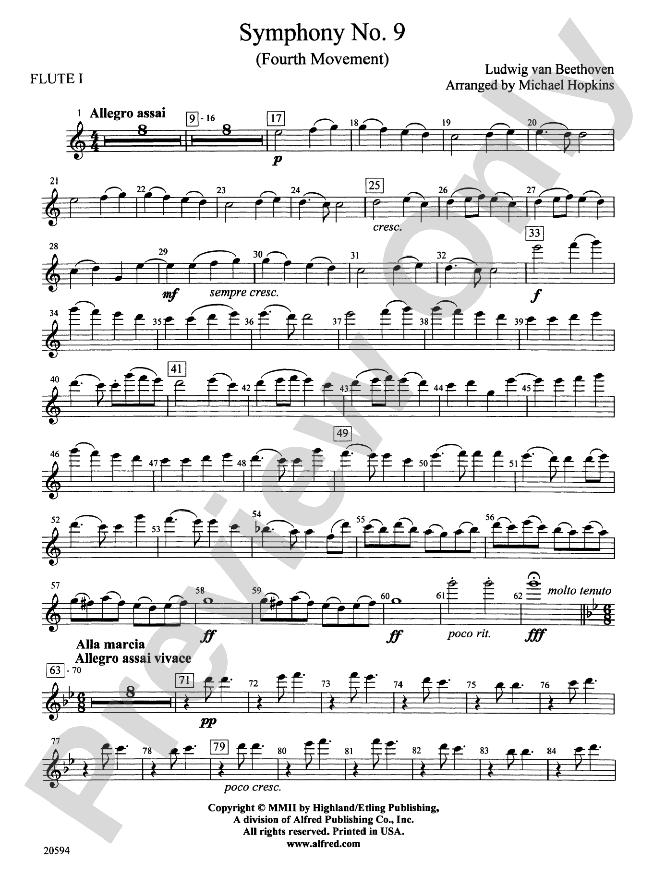 Symphony No. 9 (Fourth Movement): Flute