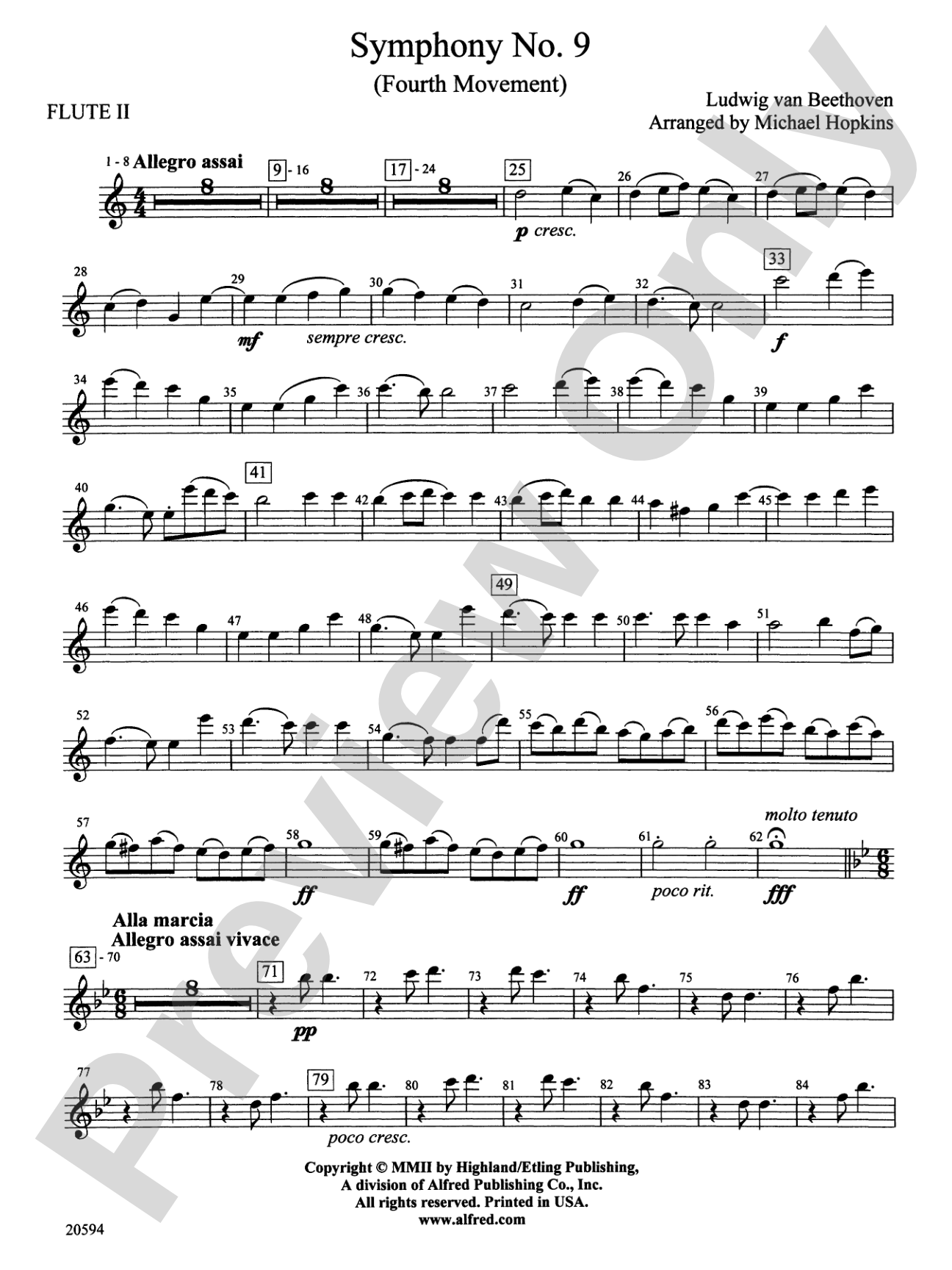 Symphony No. 9 (Fourth Movement): 2nd Flute