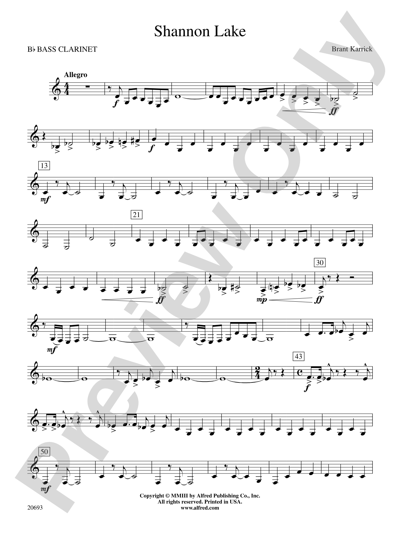 Shannon Lake: B-flat Bass Clarinet