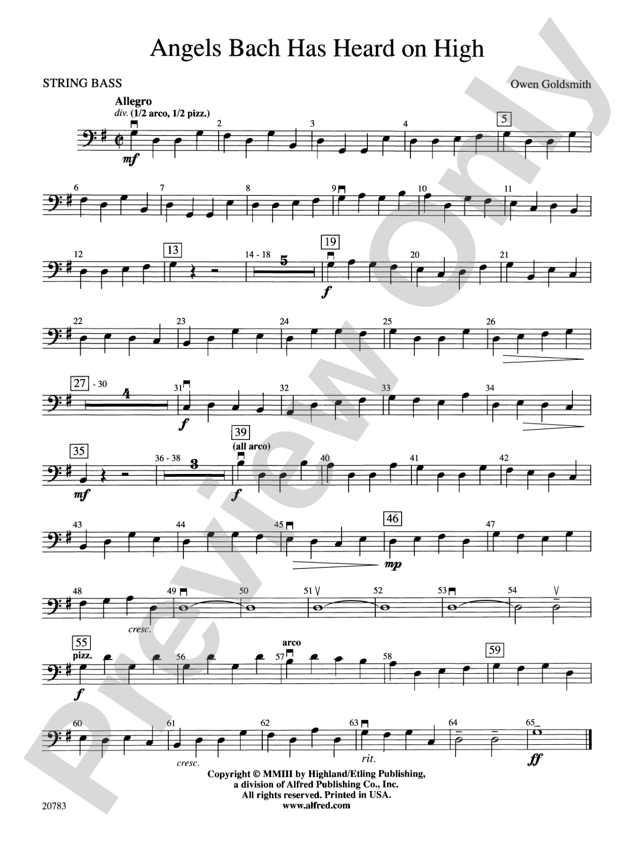 Angels Bach Has Heard on High: String Bass