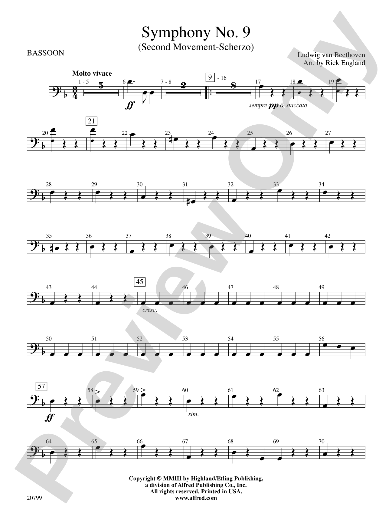 Symphony No. 9 (2nd Movement): Bassoon