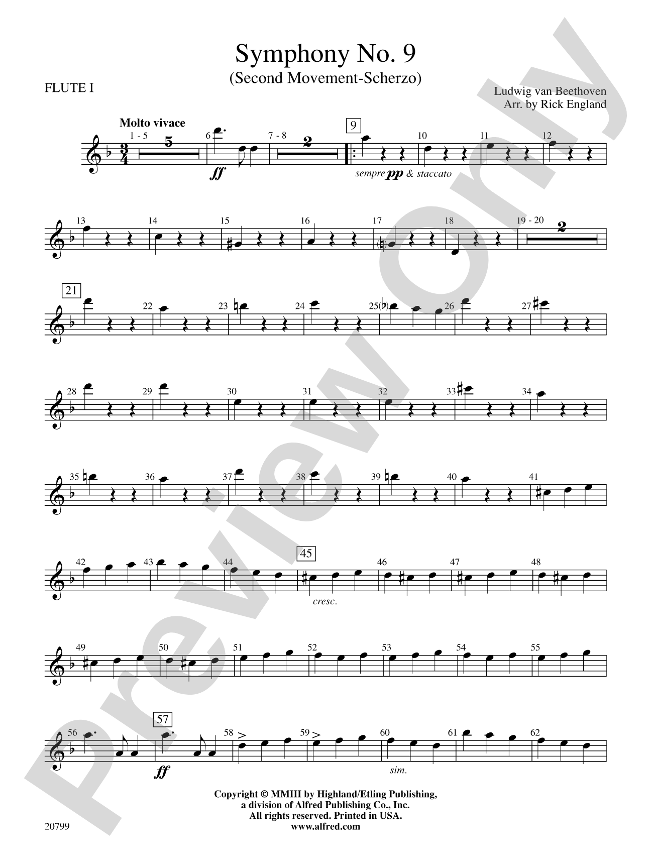 Symphony No. 9 (2nd Movement): Flute