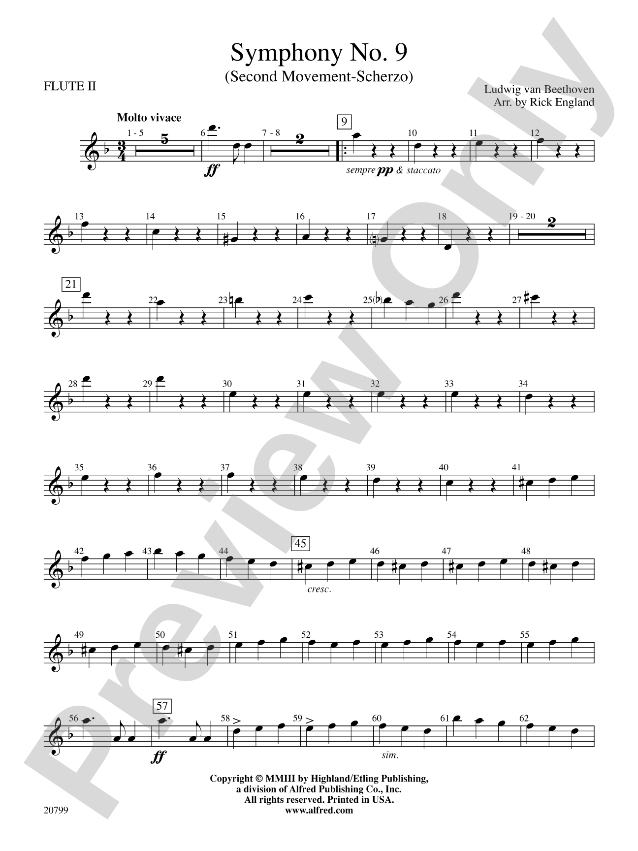 Symphony No. 9 (2nd Movement): 2nd Flute