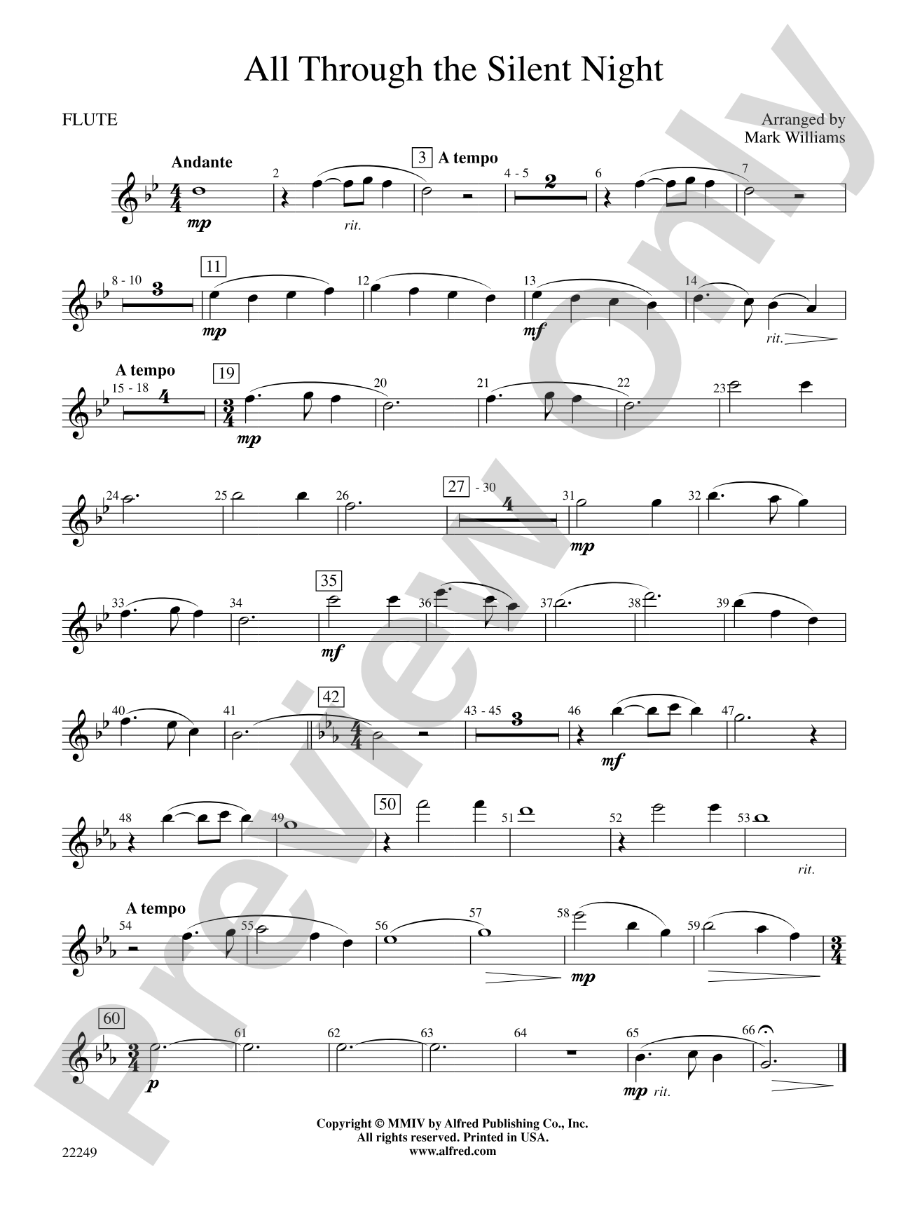 All Through the Silent Night: Flute