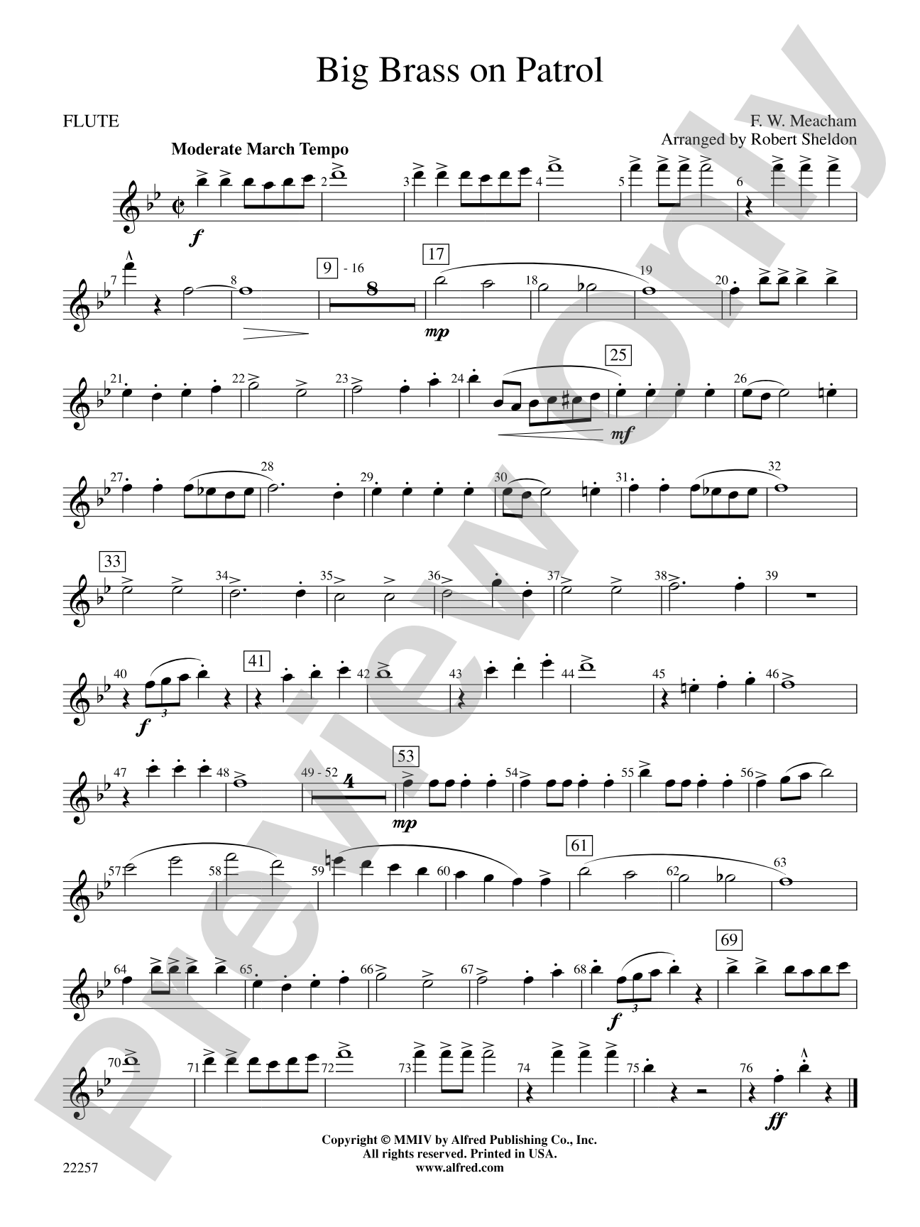 Big Brass on Patrol: Flute