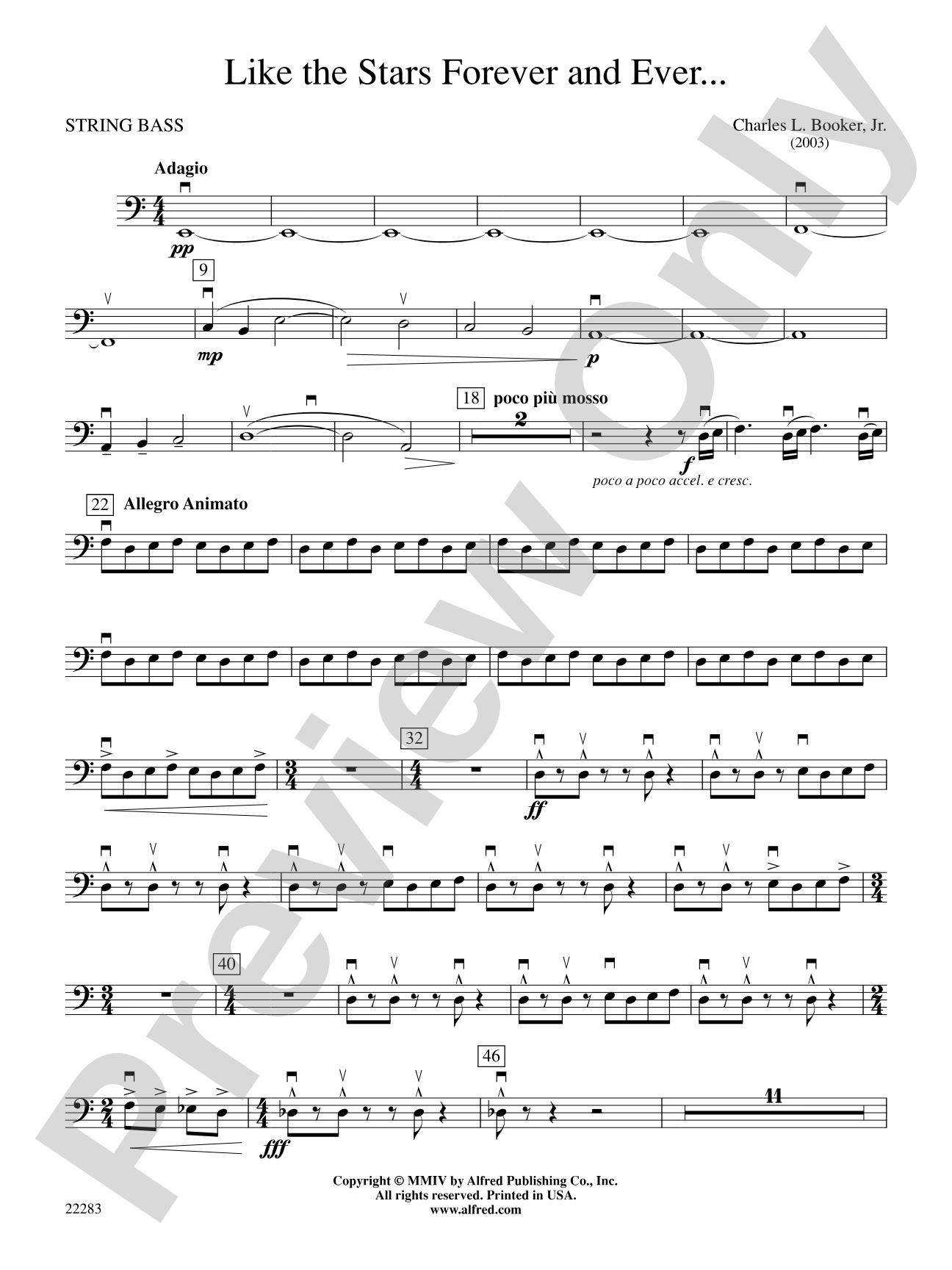 Like the Stars Forever and Ever...: String Bass