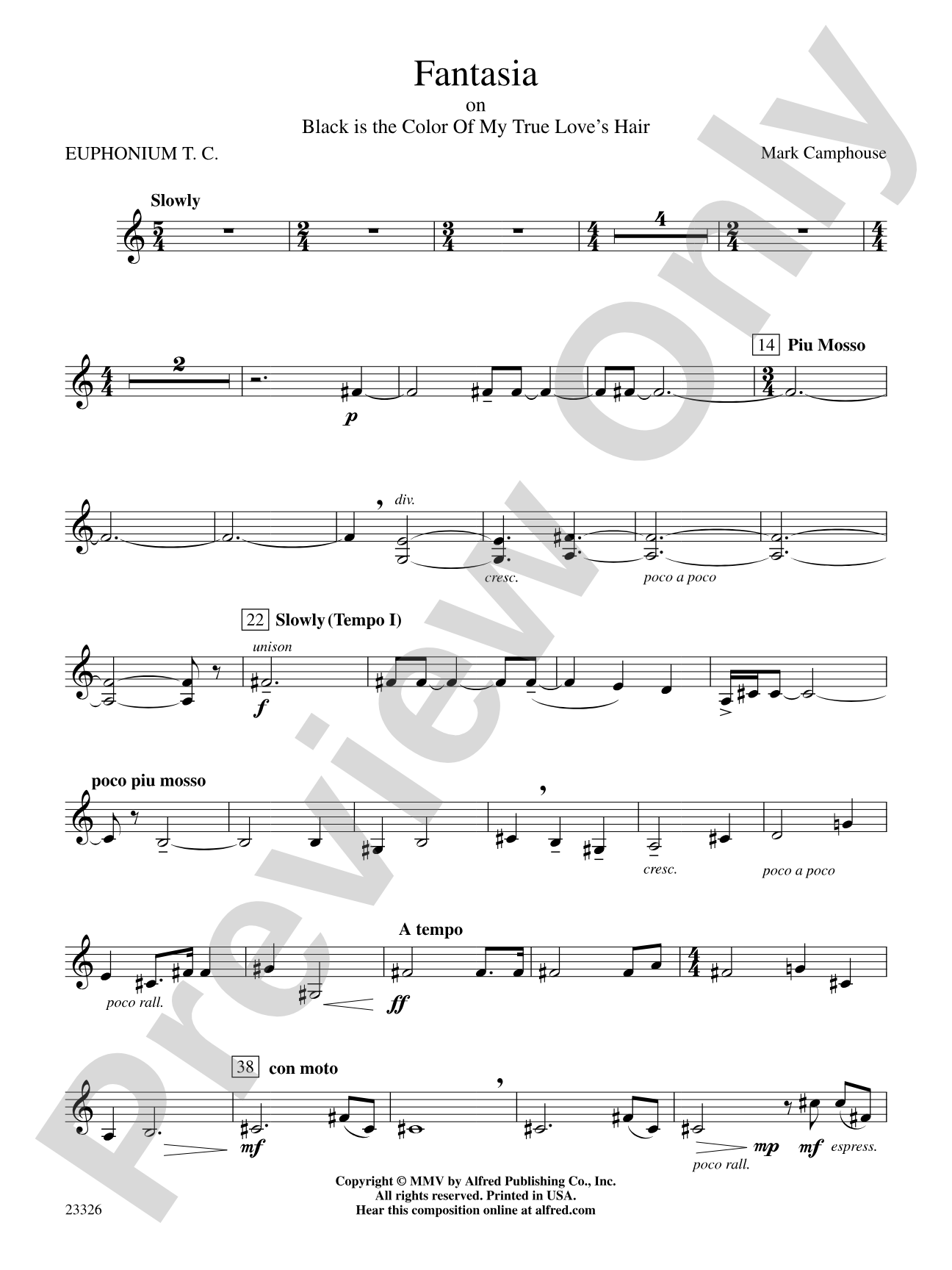 Fantasia (on "Black Is the Color of My True Love's Hair"): Baritone T.C.