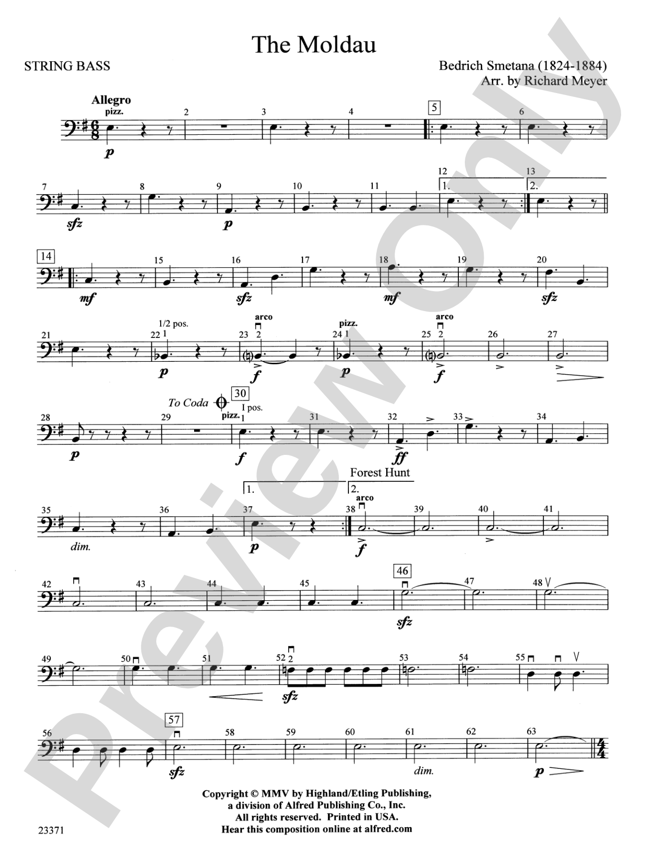 The Moldau: String Bass