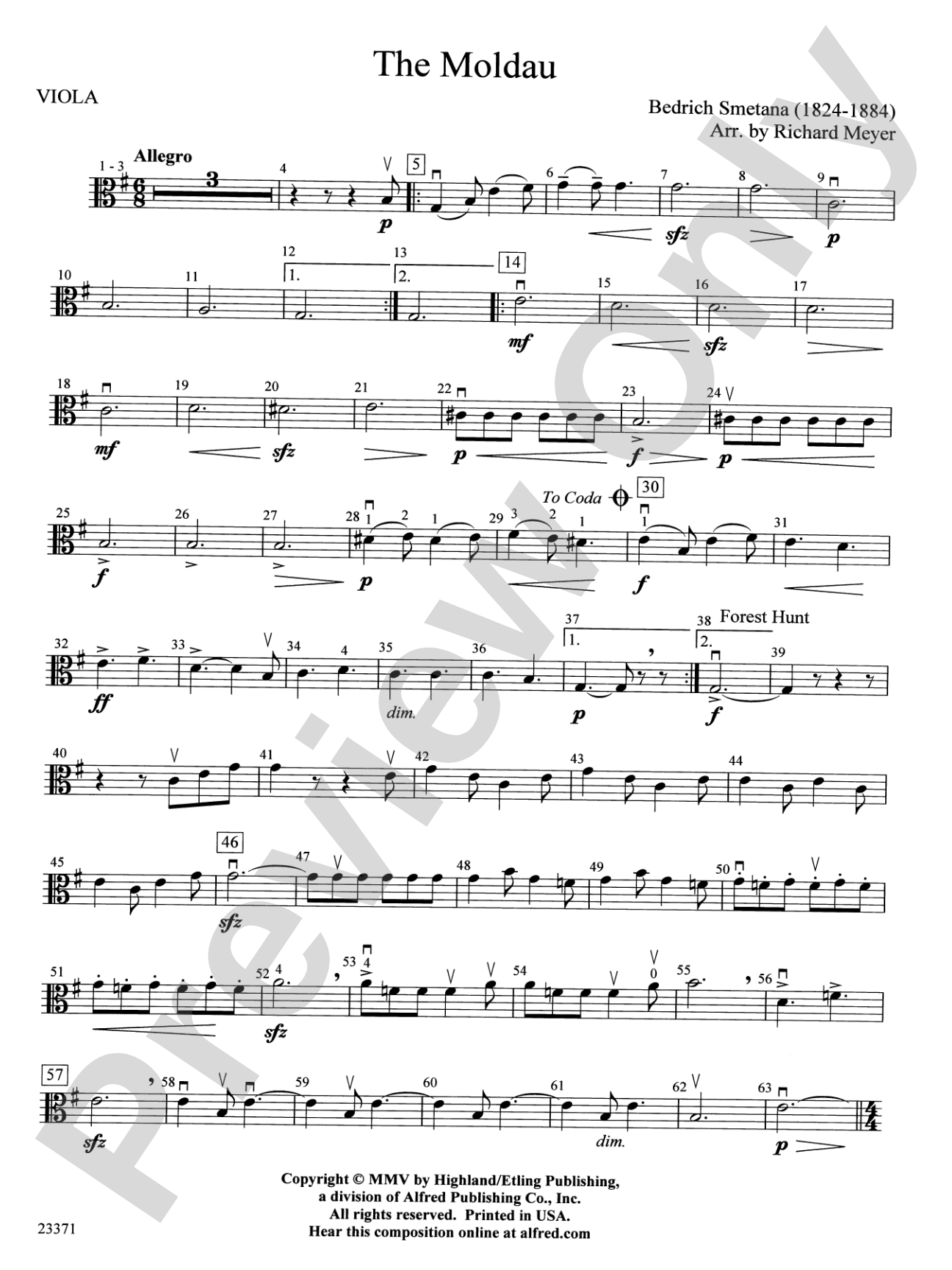 The Moldau: Viola