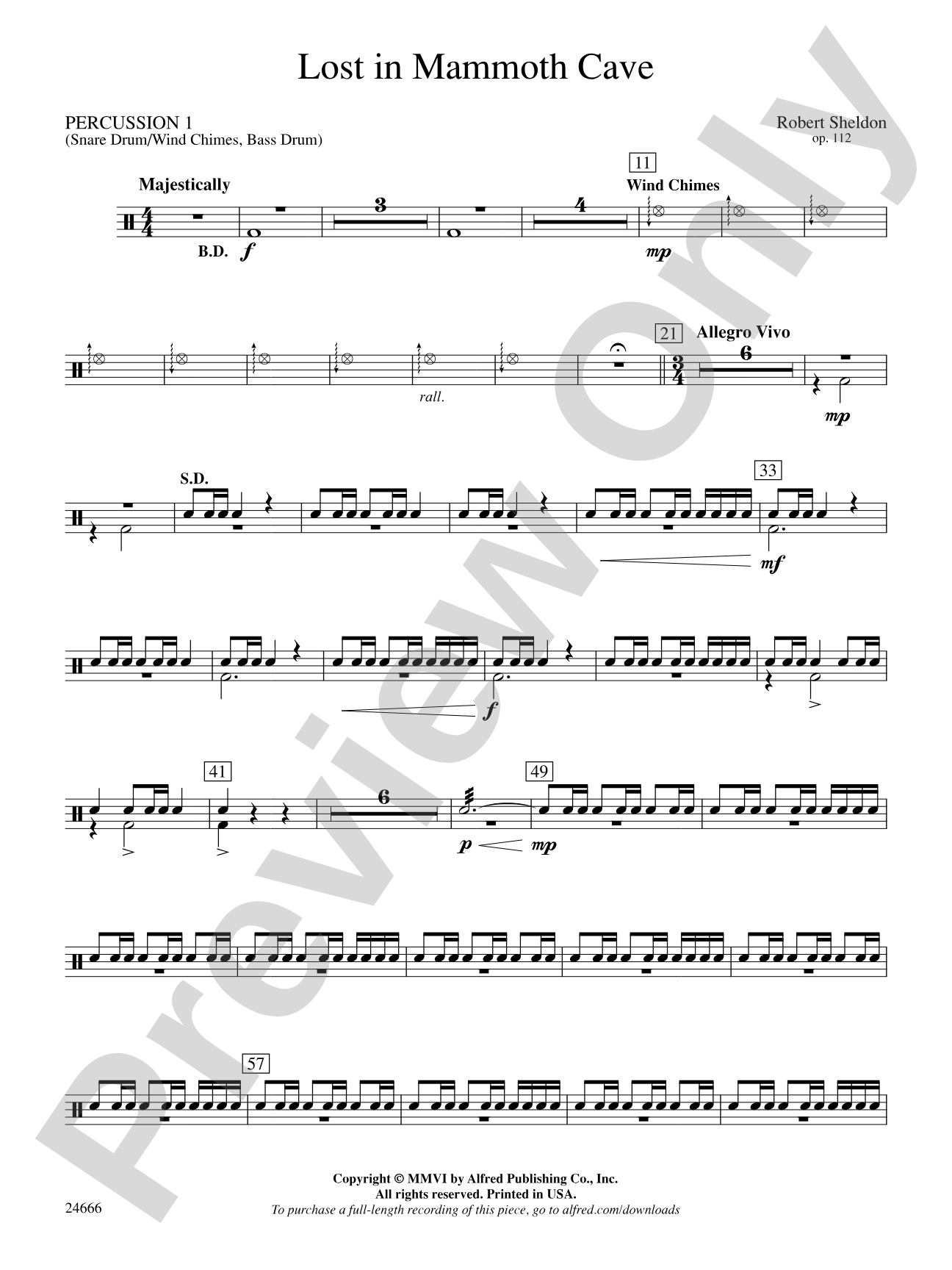 Lost in Mammoth Cave: 1st Percussion