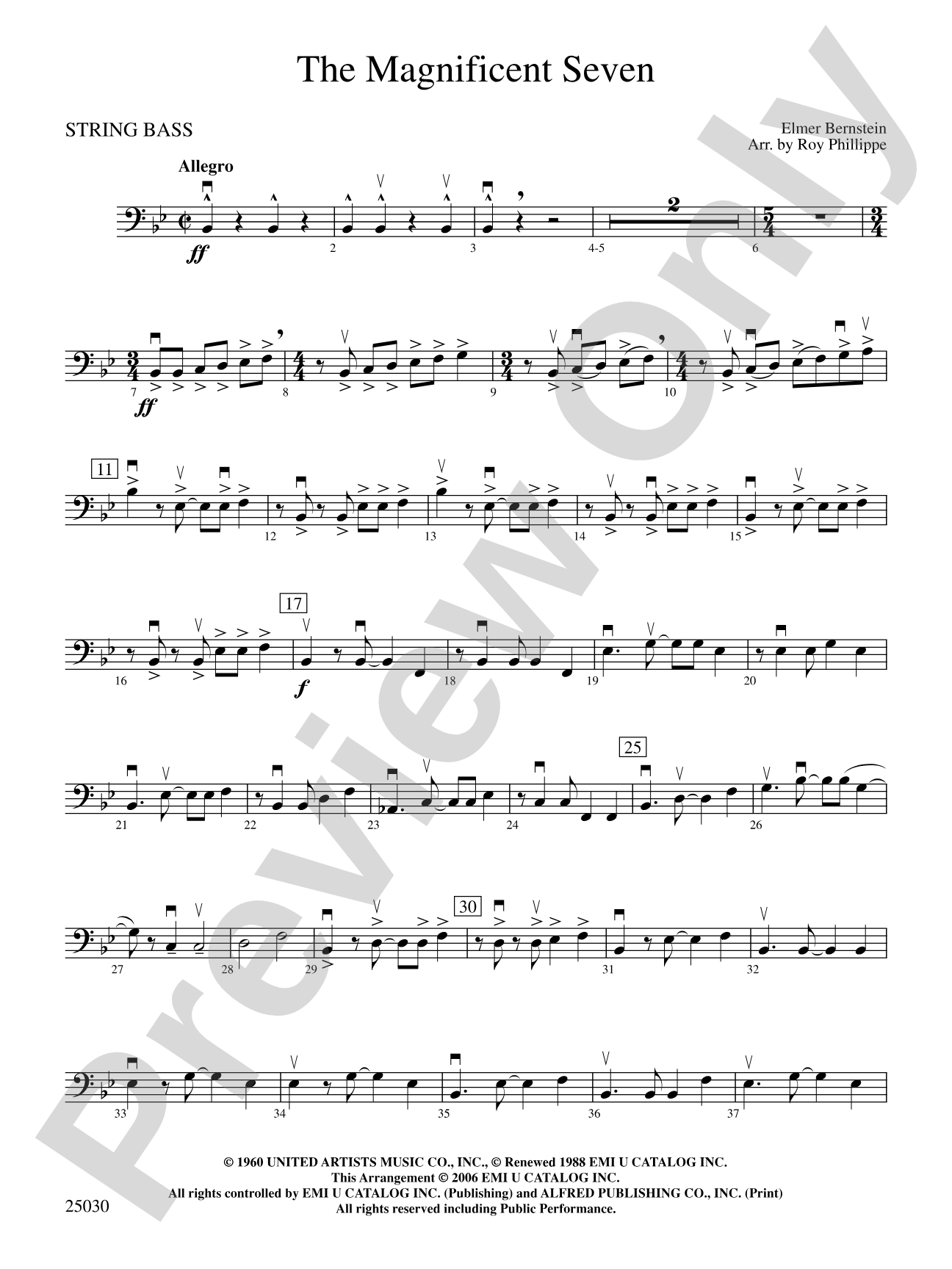 The Magnificent Seven: String Bass