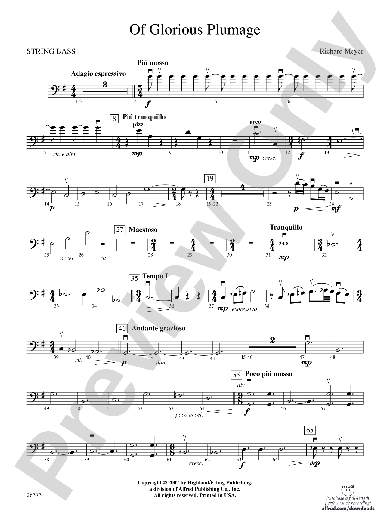 Of Glorious Plumage: String Bass