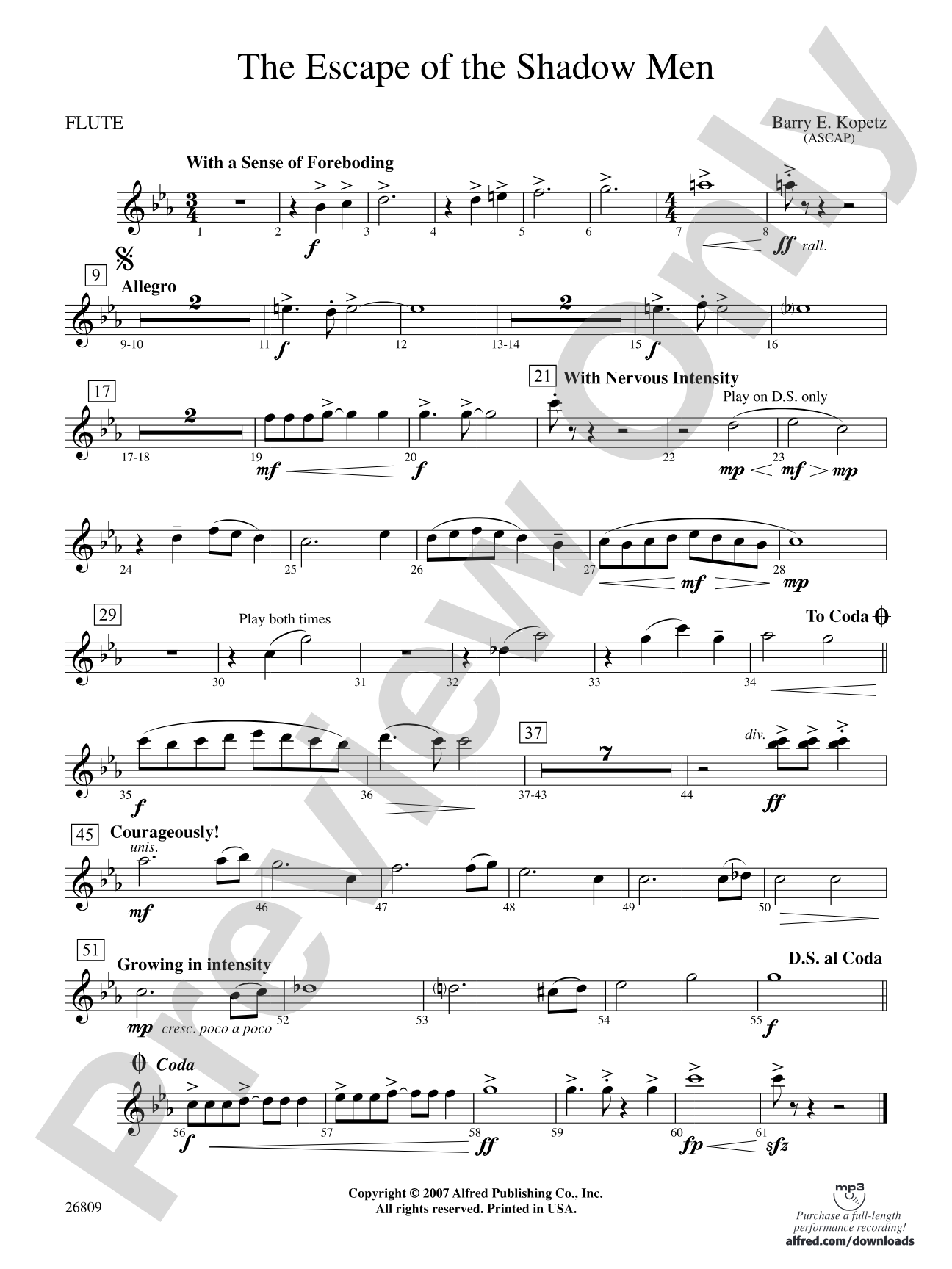 The Escape of the Shadow Men: Flute