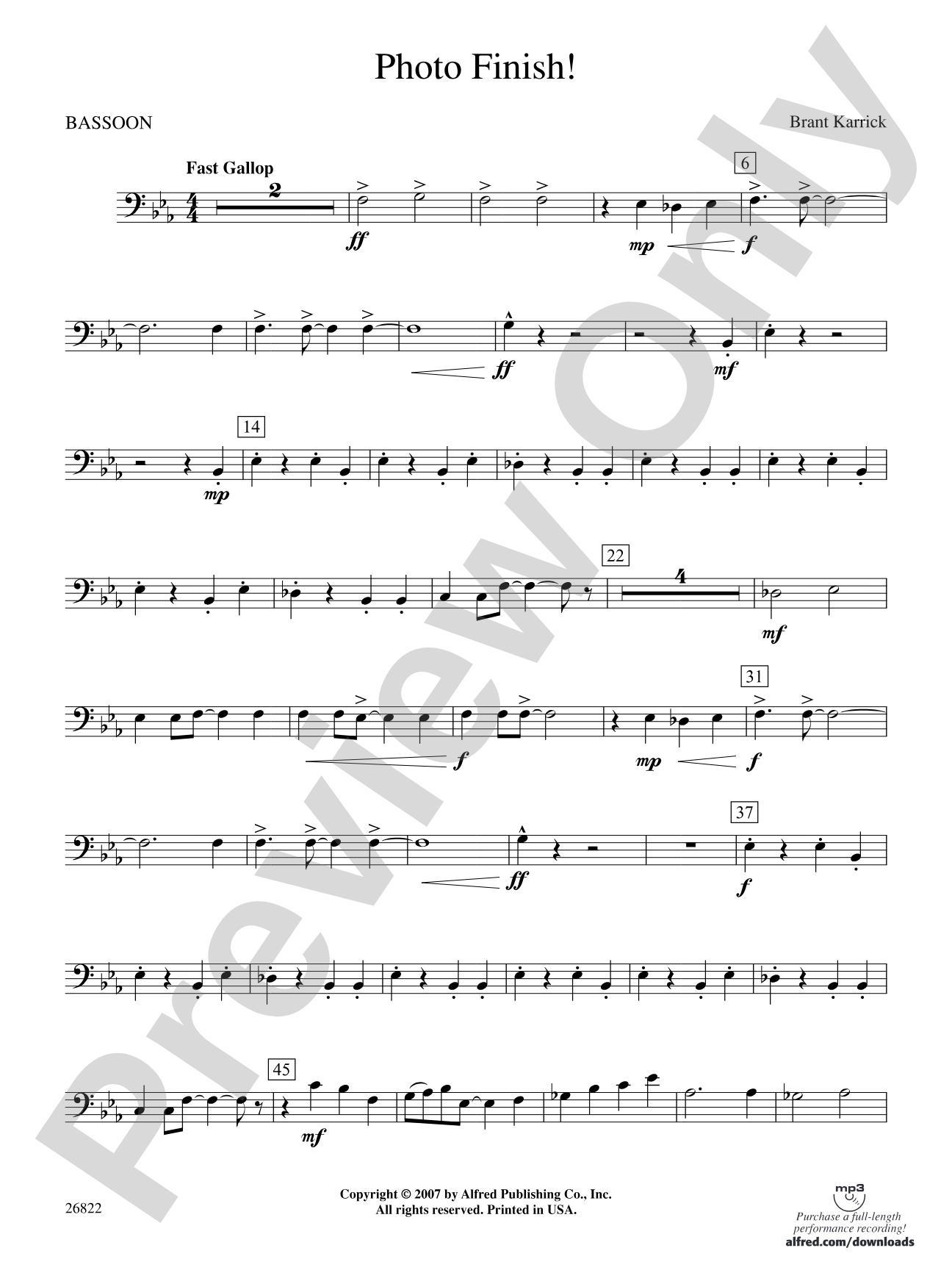 Photo Finish!: Bassoon