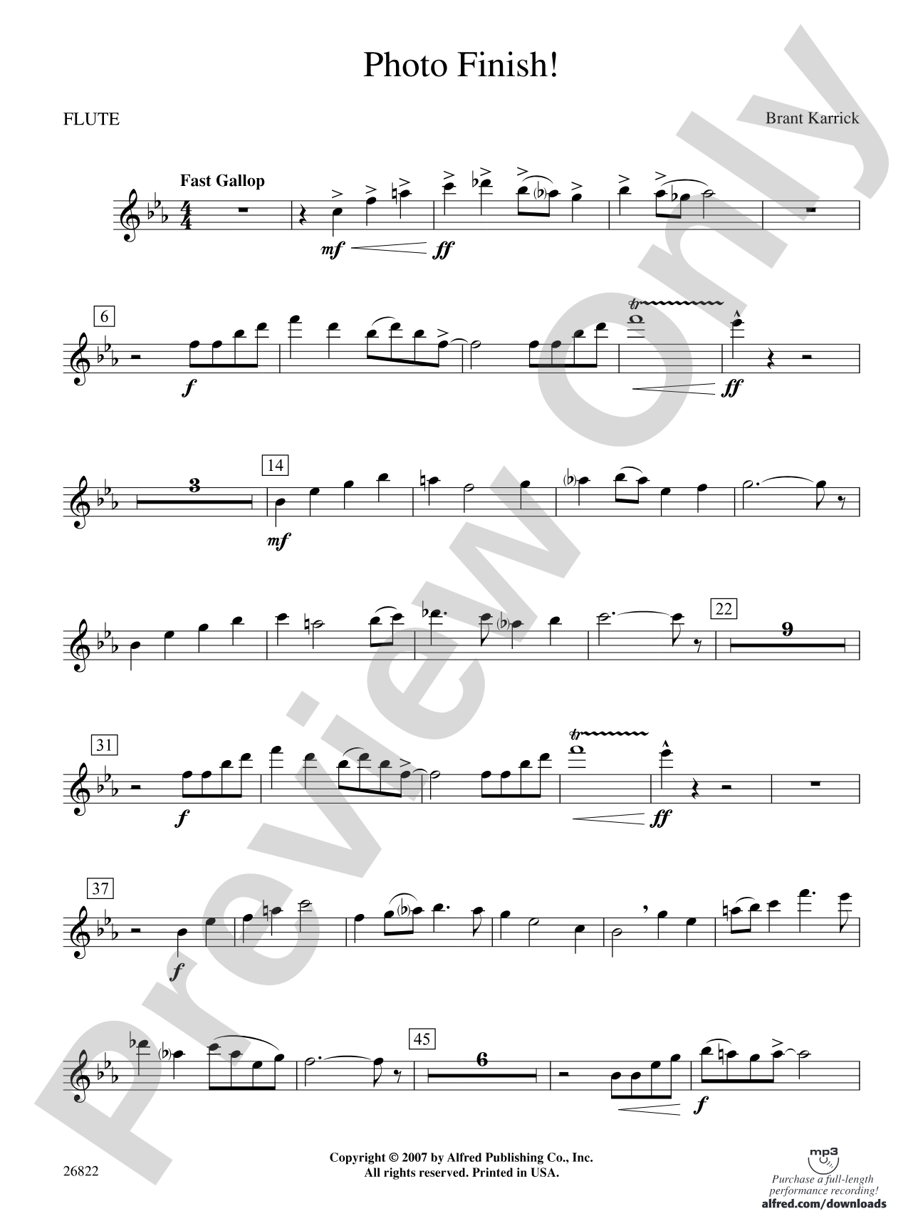 Photo Finish!: Flute