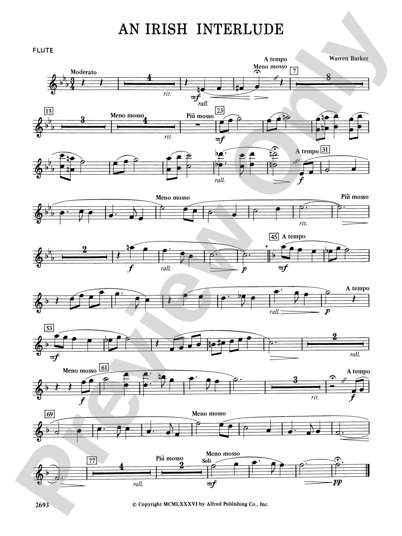 An Irish Interlude: Flute