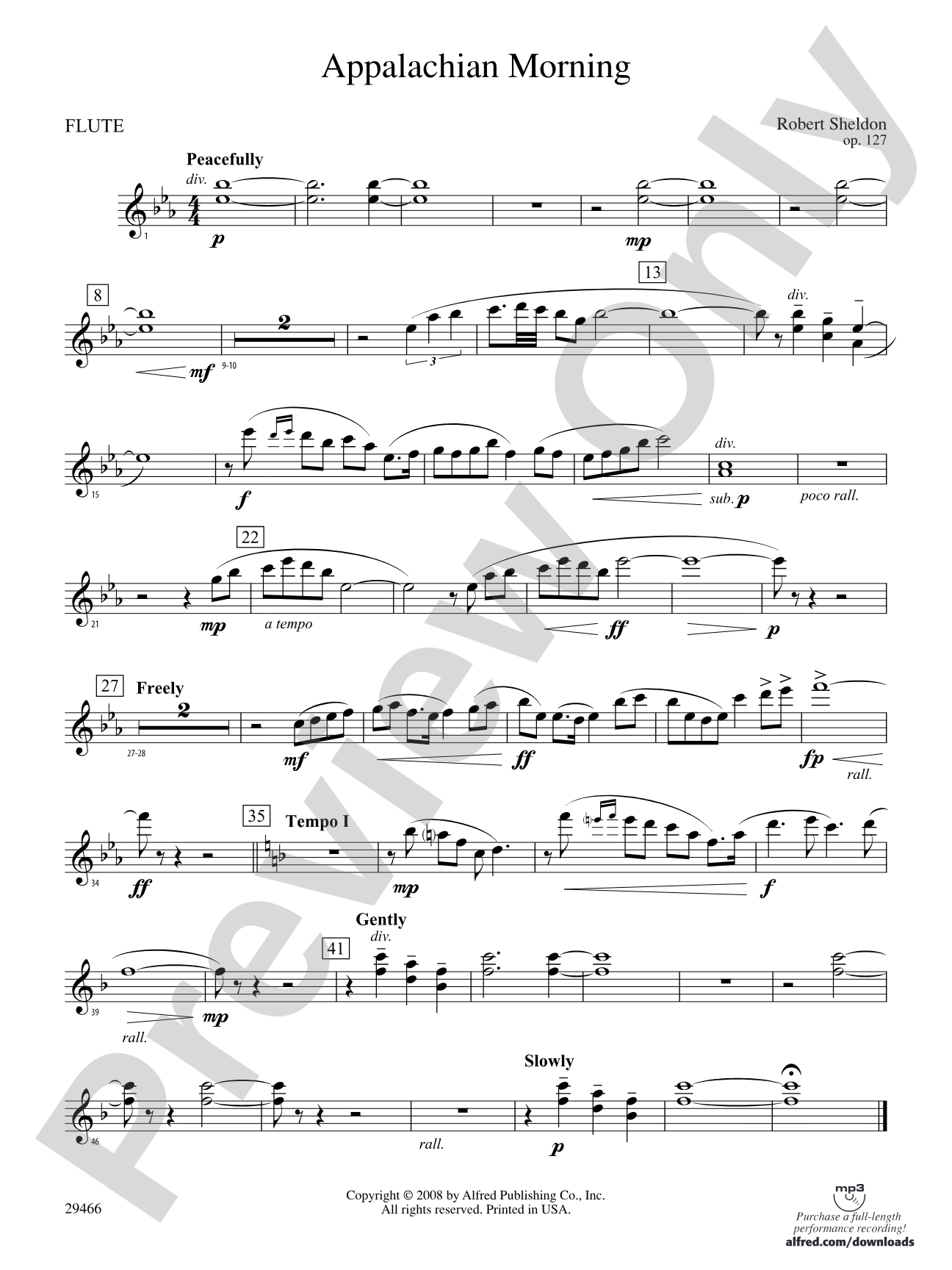 Appalachian Morning: Flute