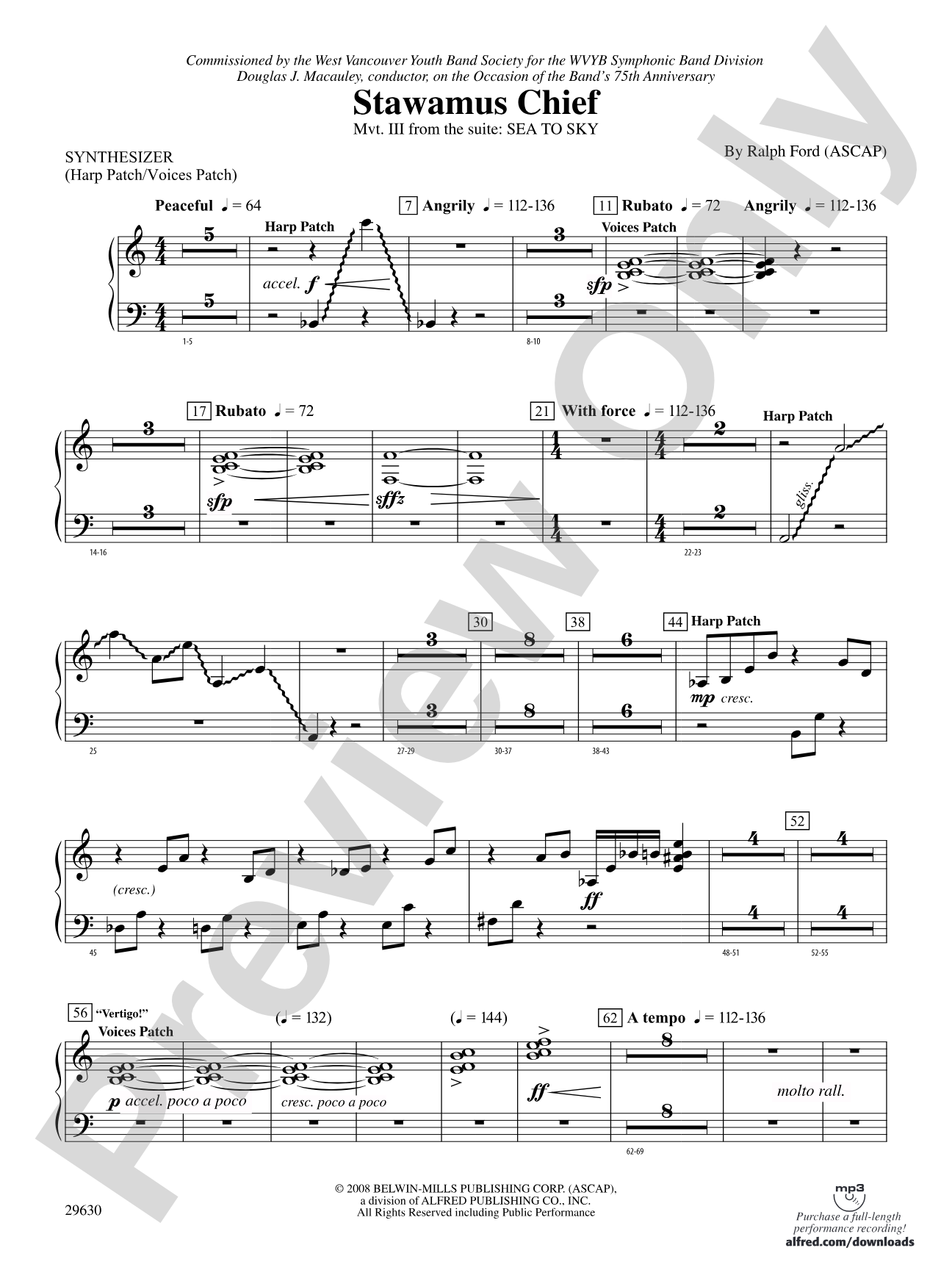 Stawamus Chief: Synthesizer