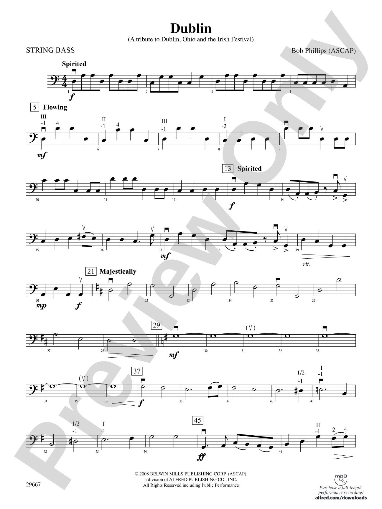 Dublin (A tribute to Dublin, Ohio and the Irish Festival): String Bass