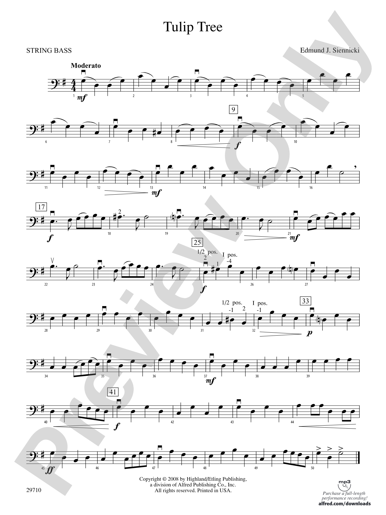 Tulip Tree: String Bass