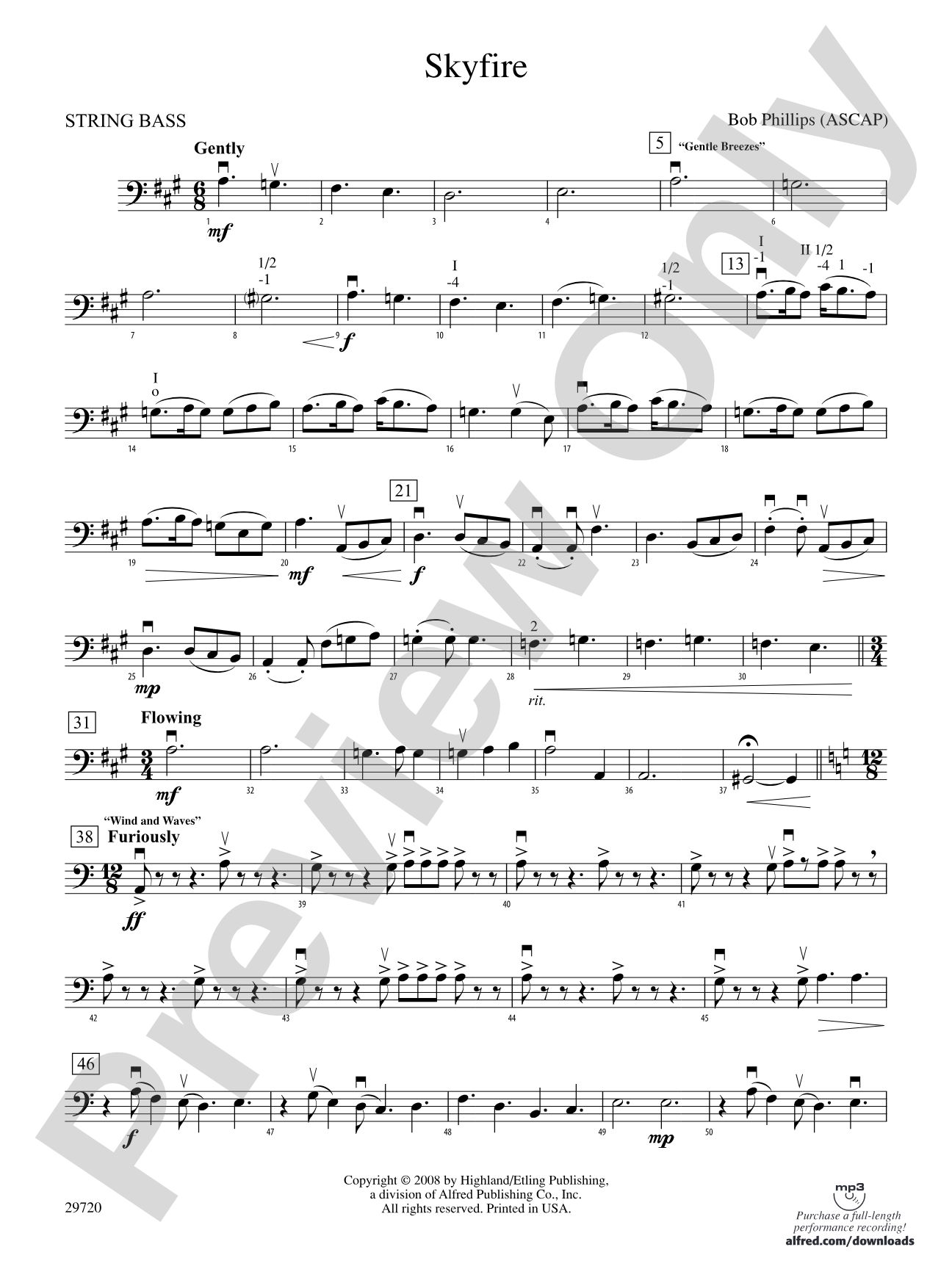 Skyfire: String Bass