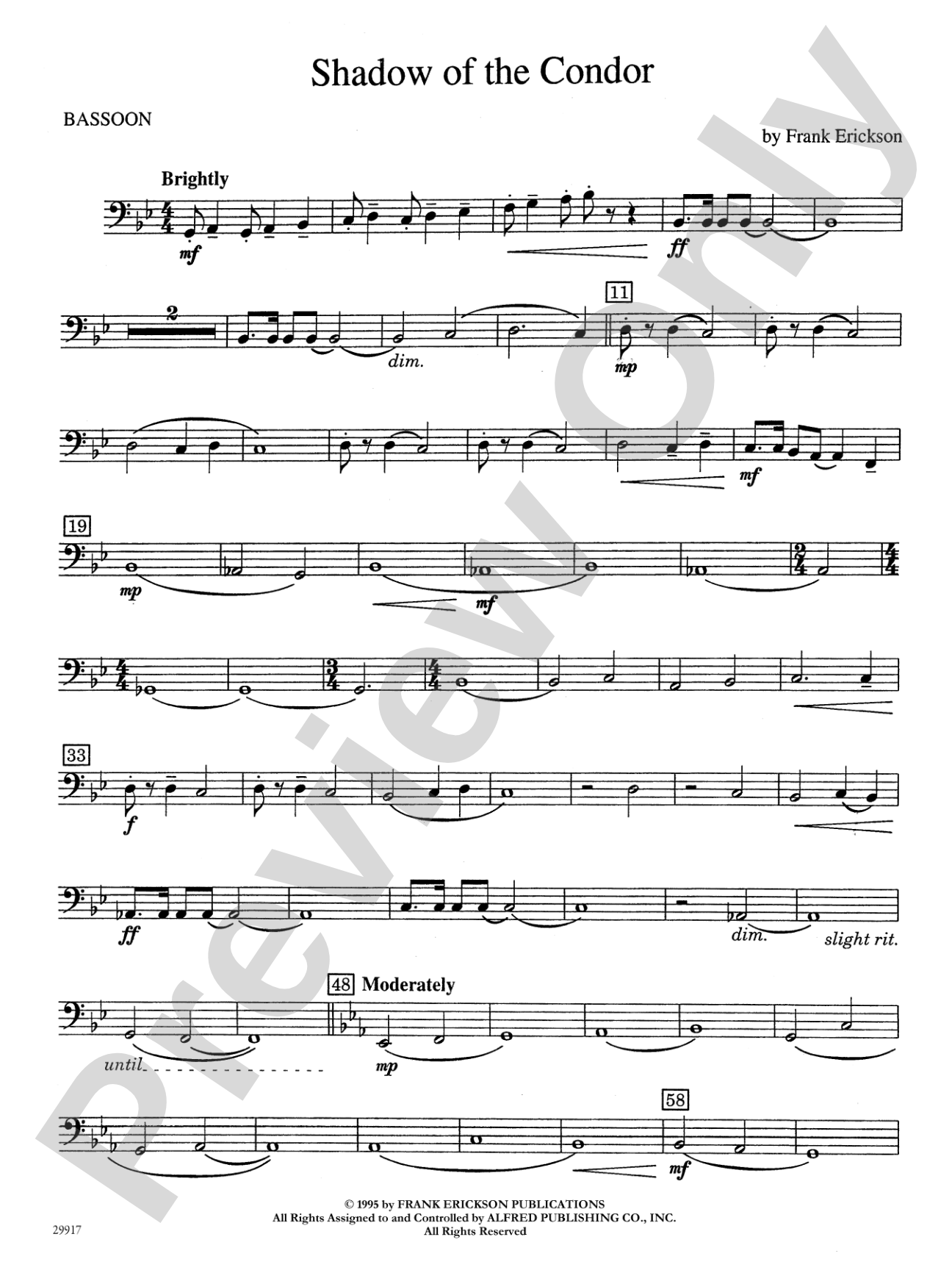 Shadow of the Condor: Bassoon