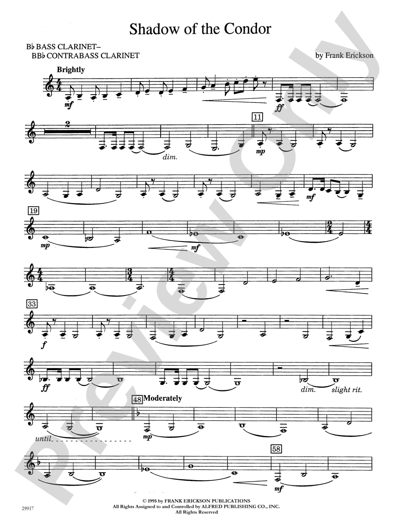 Shadow of the Condor: B-flat Bass Clarinet