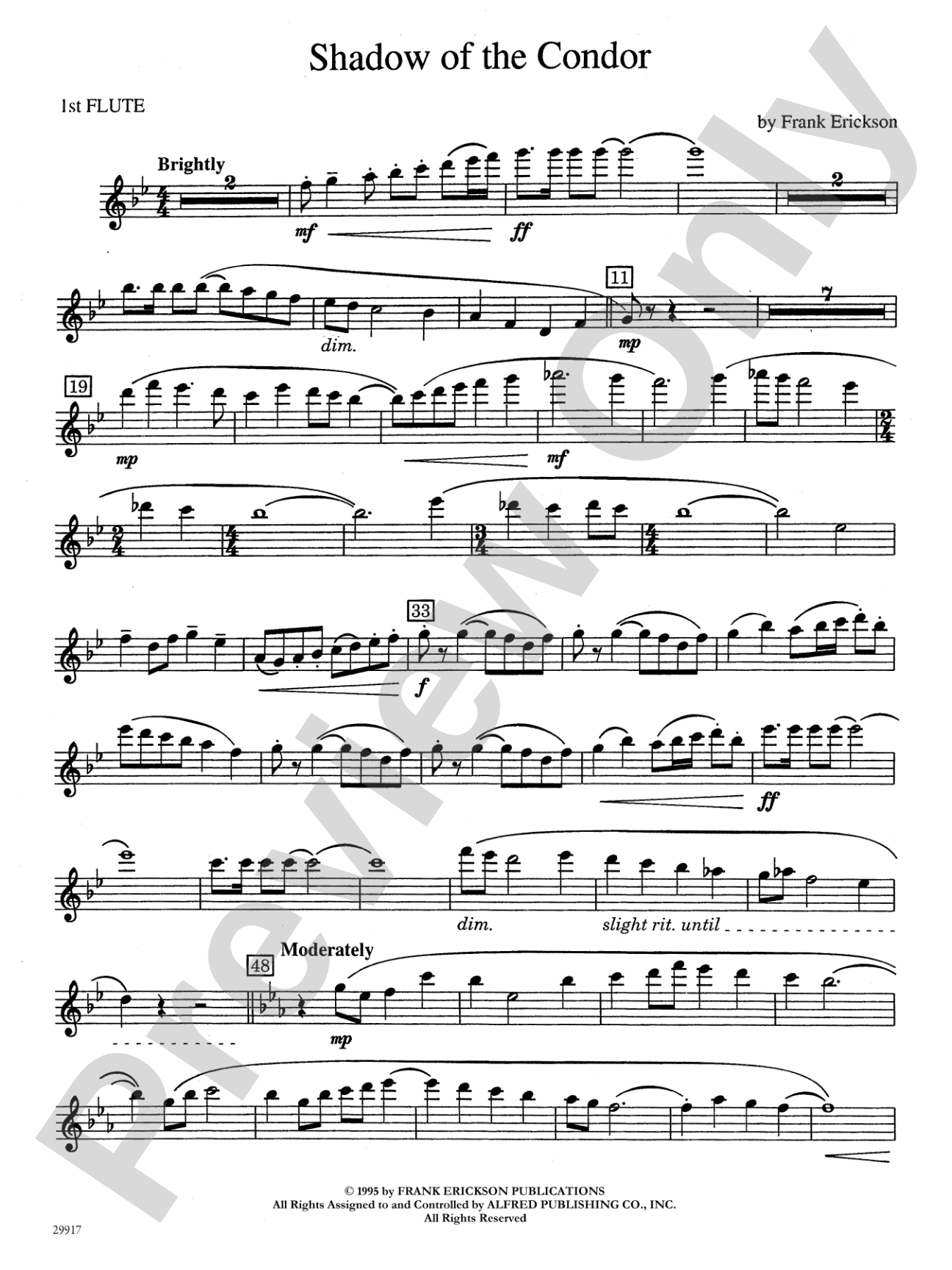 Shadow of the Condor: Flute