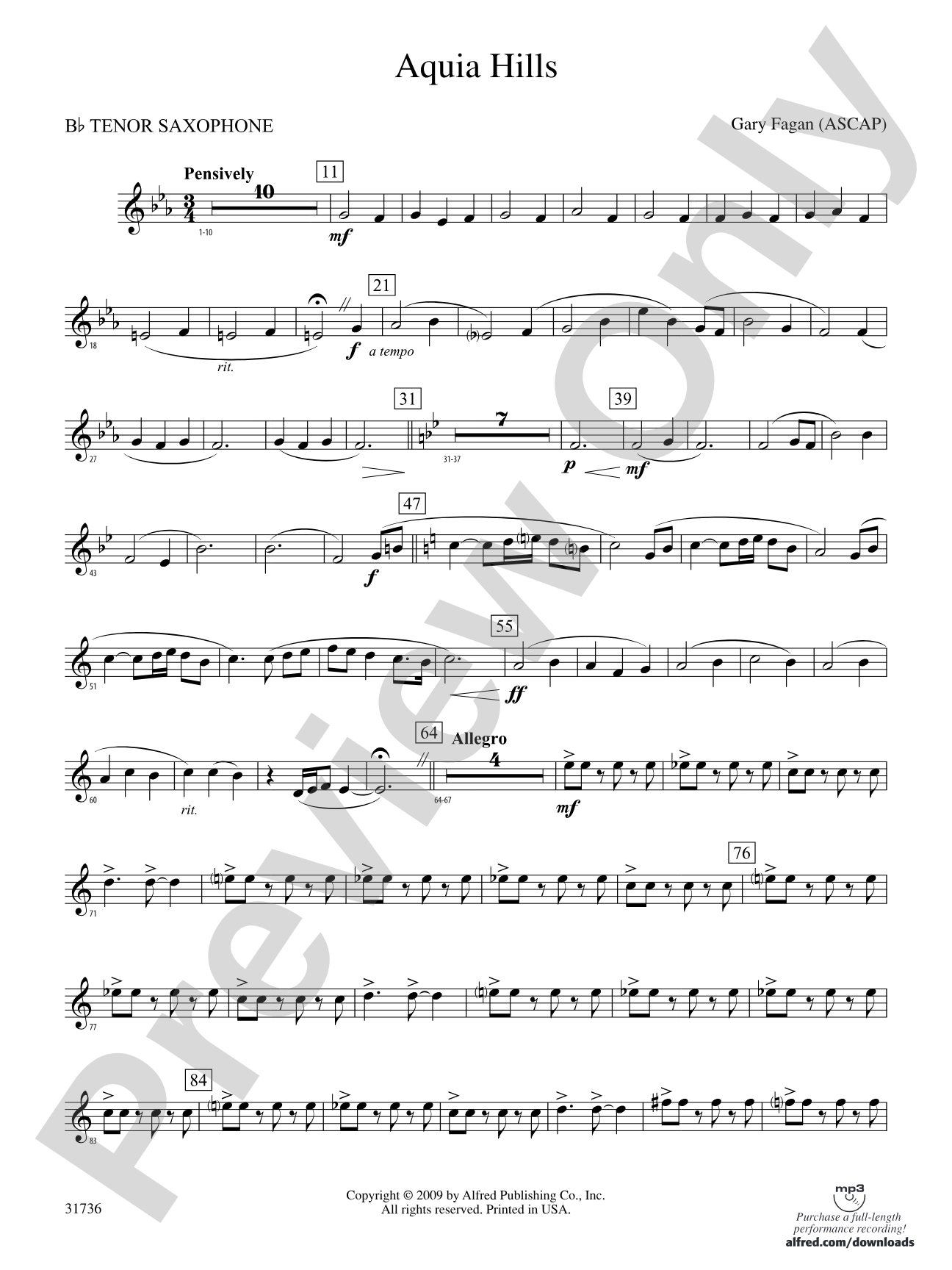 Aquia Hills: B-flat Tenor Saxophone