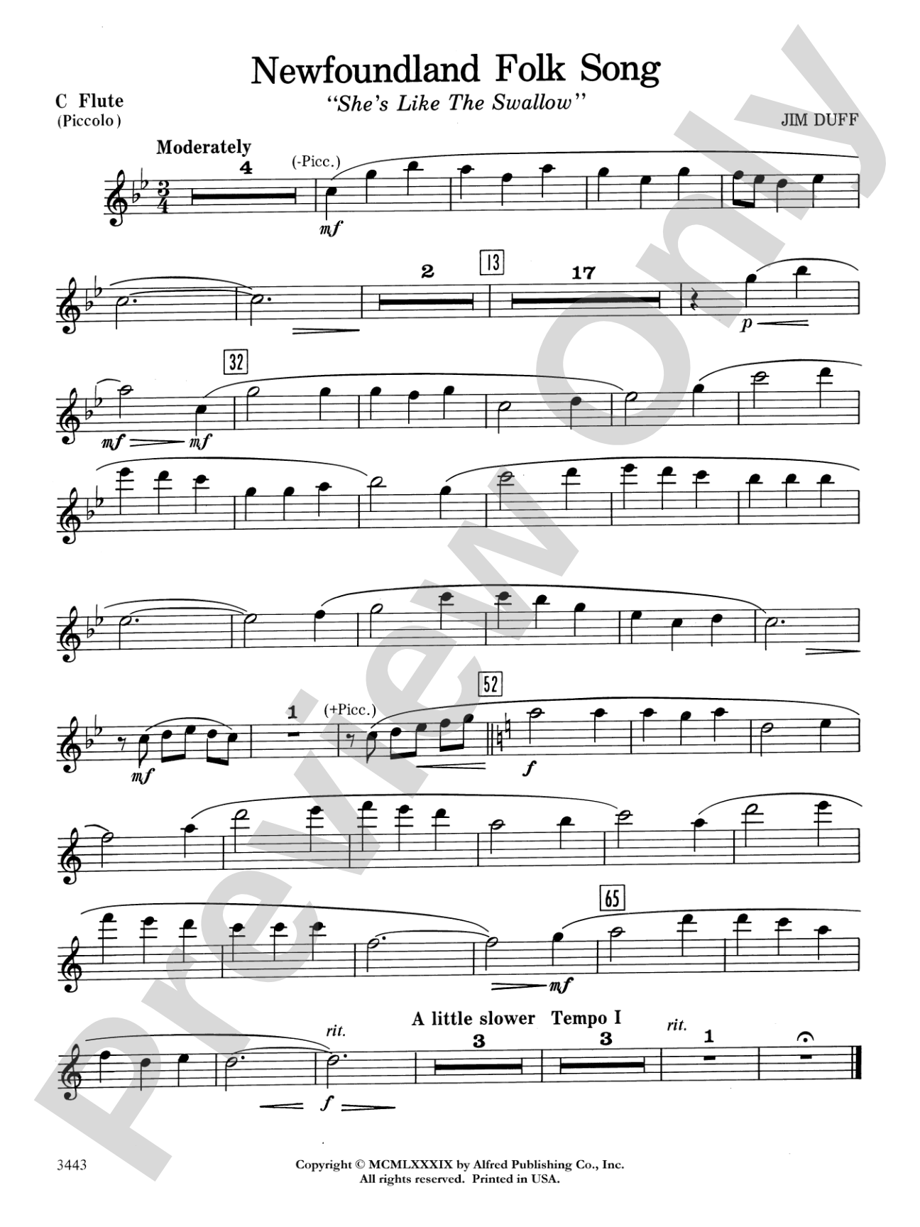 Newfoundland Folk Song: Flute