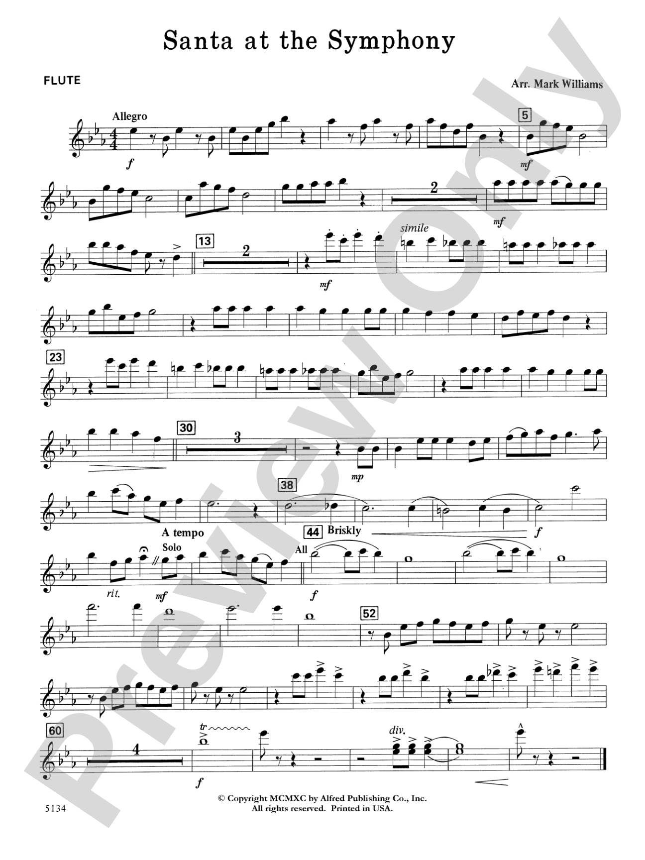 Santa at the Symphony: Flute