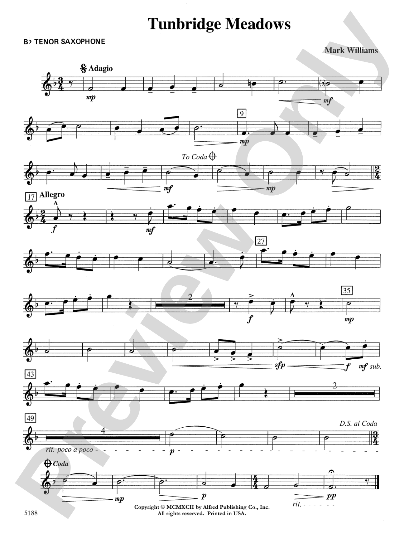 Tunbridge Meadows: B-flat Tenor Saxophone