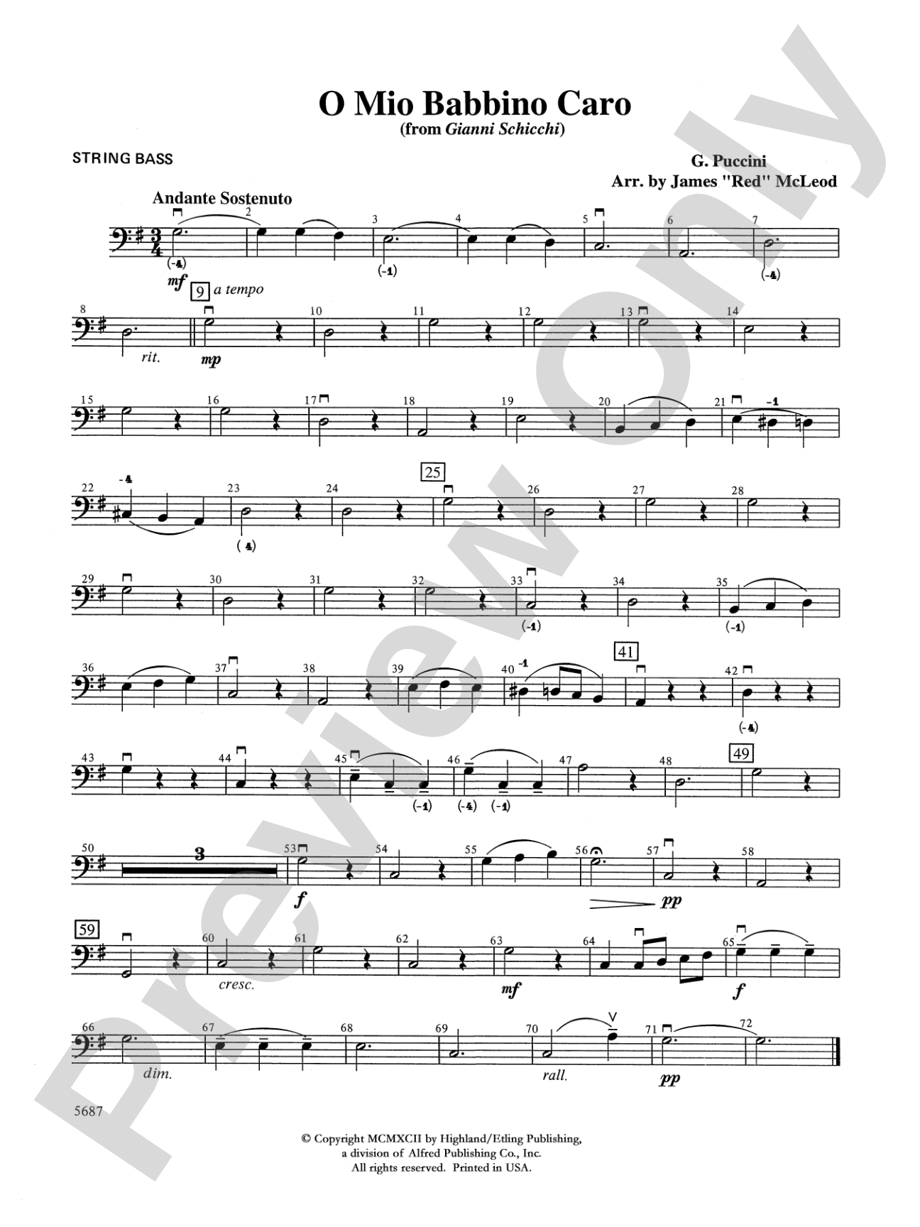 O Mio Babbino Caro from "Gianni Schicchi," theme from the film A Room with a View: String Bass