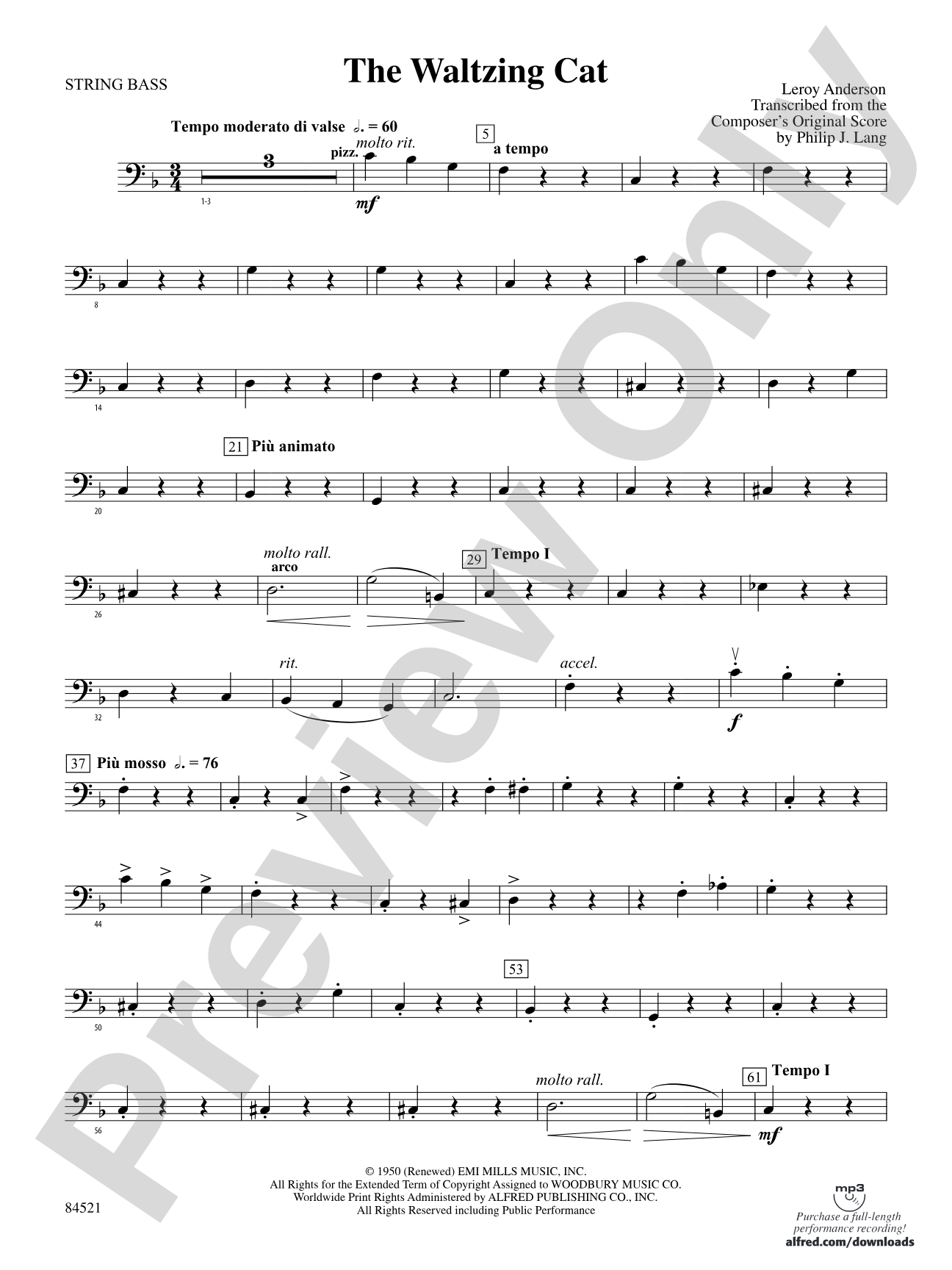 The Waltzing Cat: String Bass
