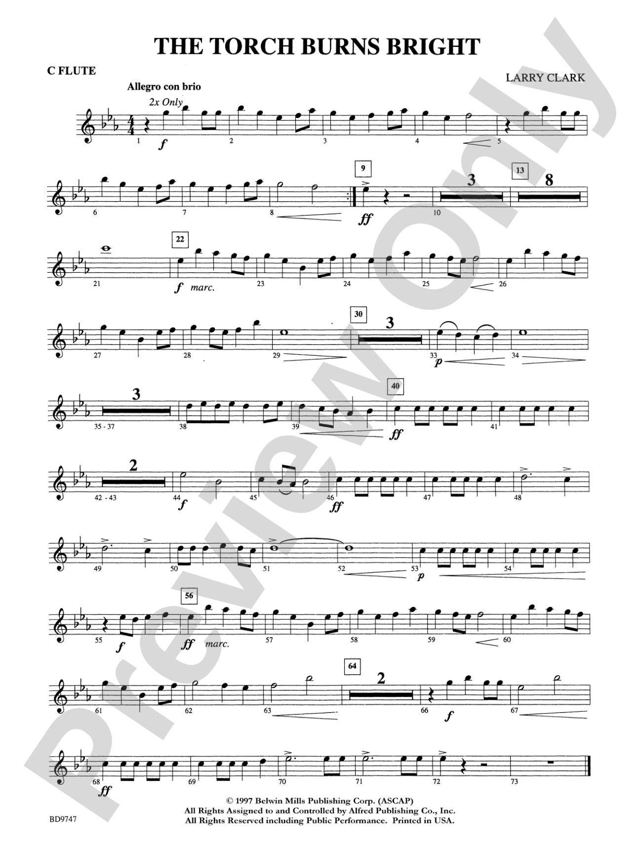 The Torch Burns Bright: Flute