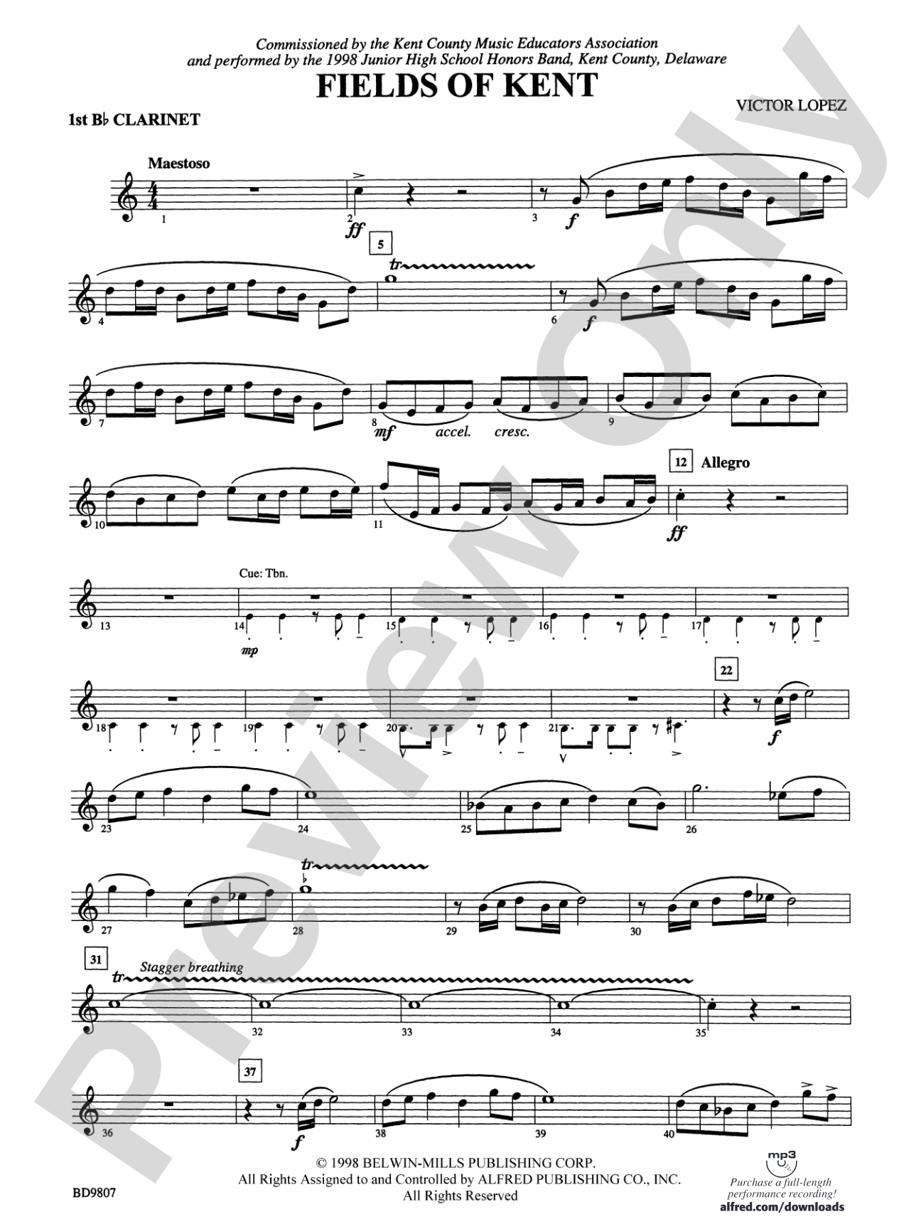 Fields of Kent: 1st B-flat Clarinet