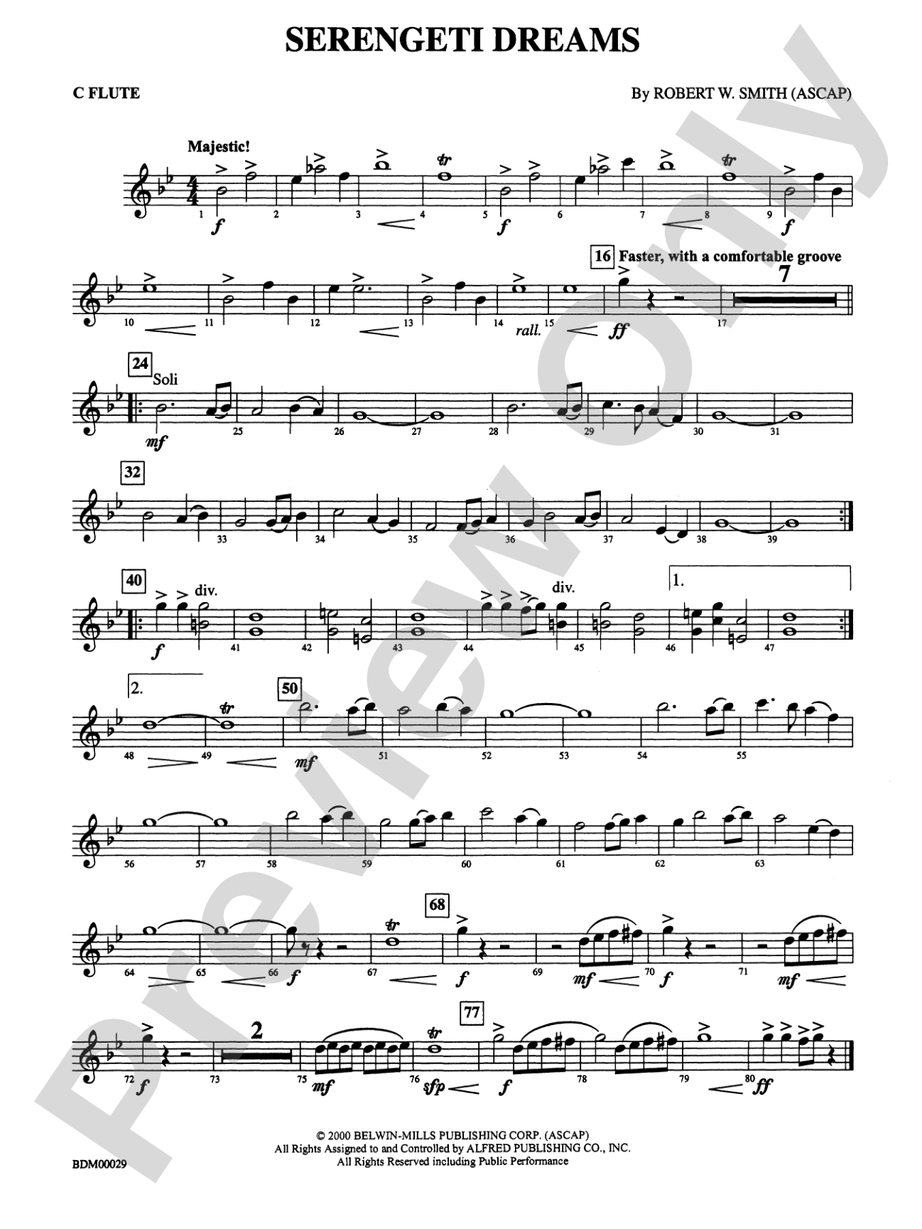 Serengeti Dreams: Flute